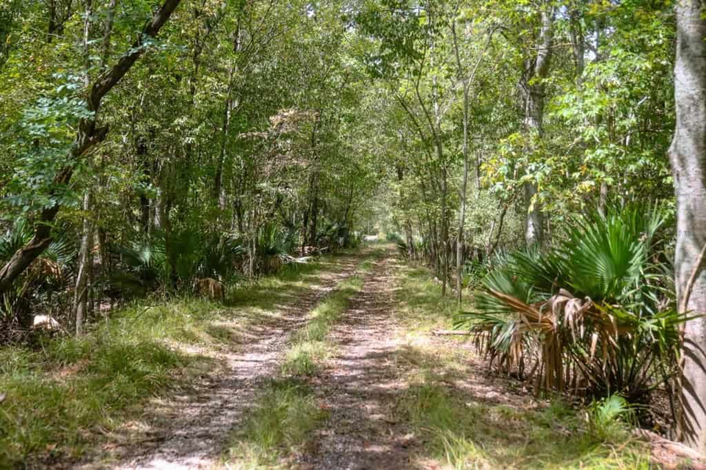 Hunting Land for Sale Just Outside of Baton Rouge