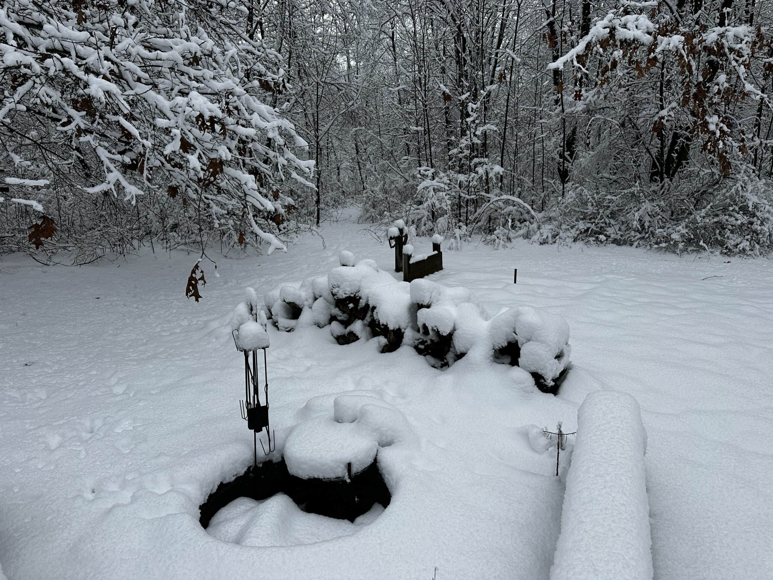 Michigan Hunting Land for Sale in Ionia County UC Hunting Properties