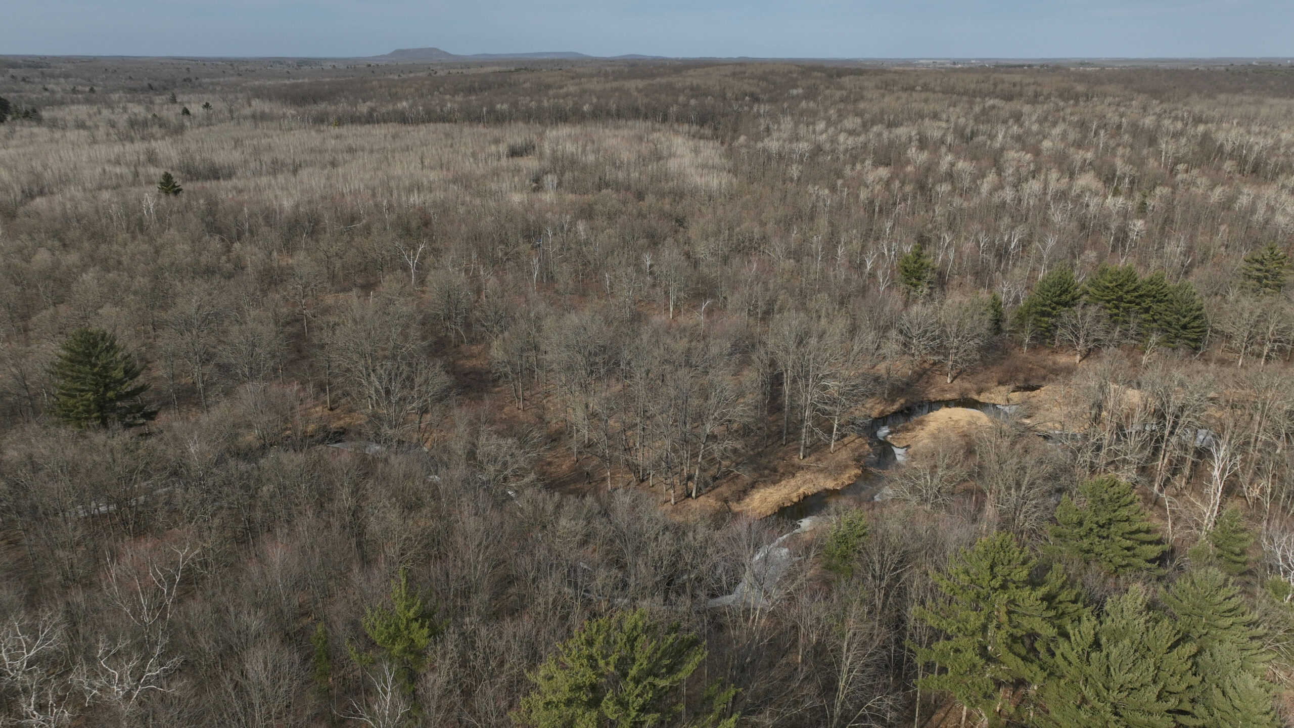 Affordable Hunting Land for Sale in Clark County, Wisconsin UC