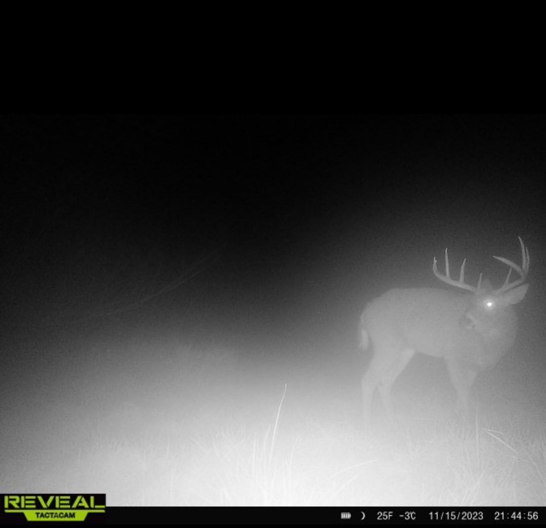 Unique Hunting Land for sale in Richland County, WI UC Hunting Properties