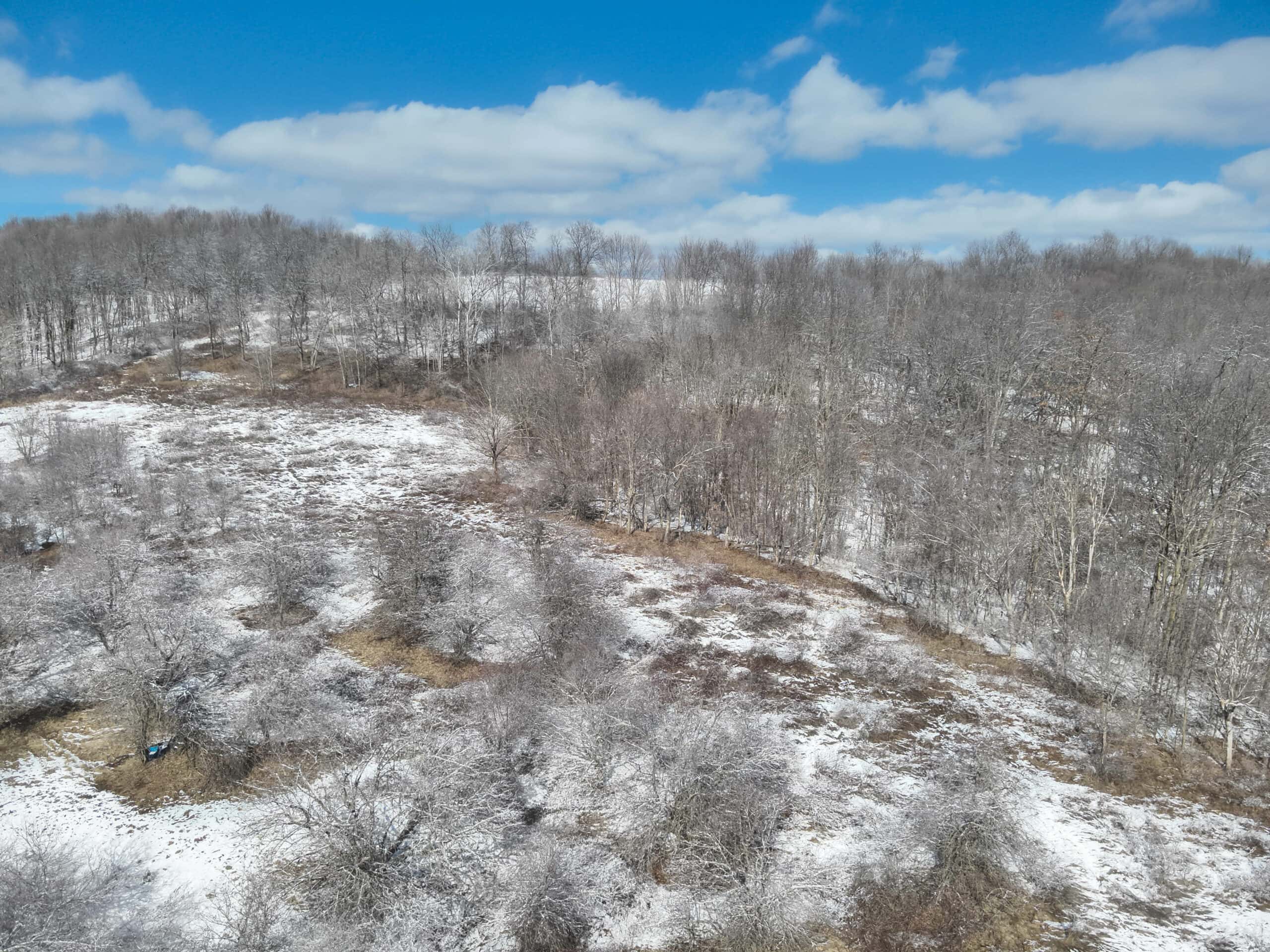 Hunting and Recreational Land for sale in Richland County, WI UC