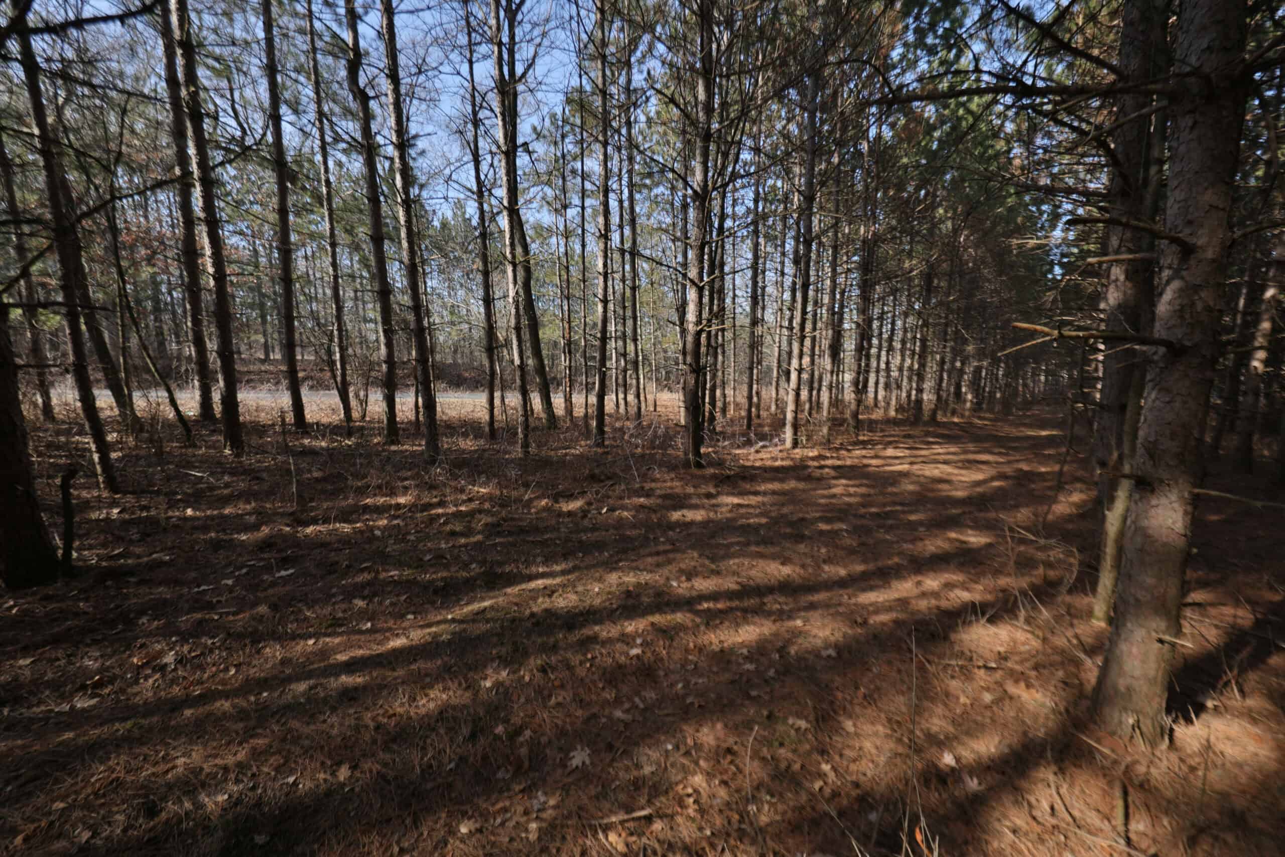 Small Hunting Property with Build Site for sale in Trempealeau County