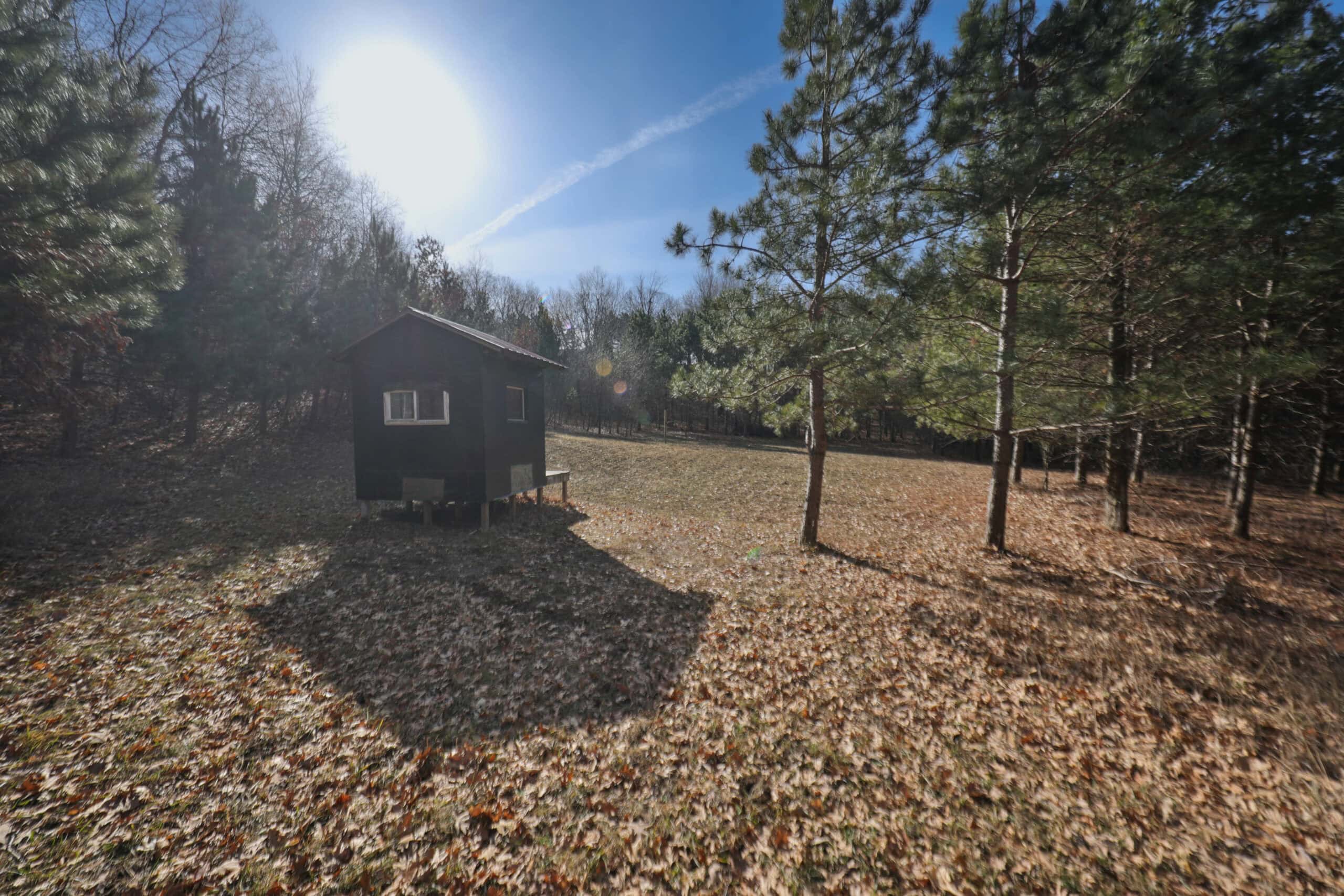 Small Hunting Property with Build Site for sale in Trempealeau County