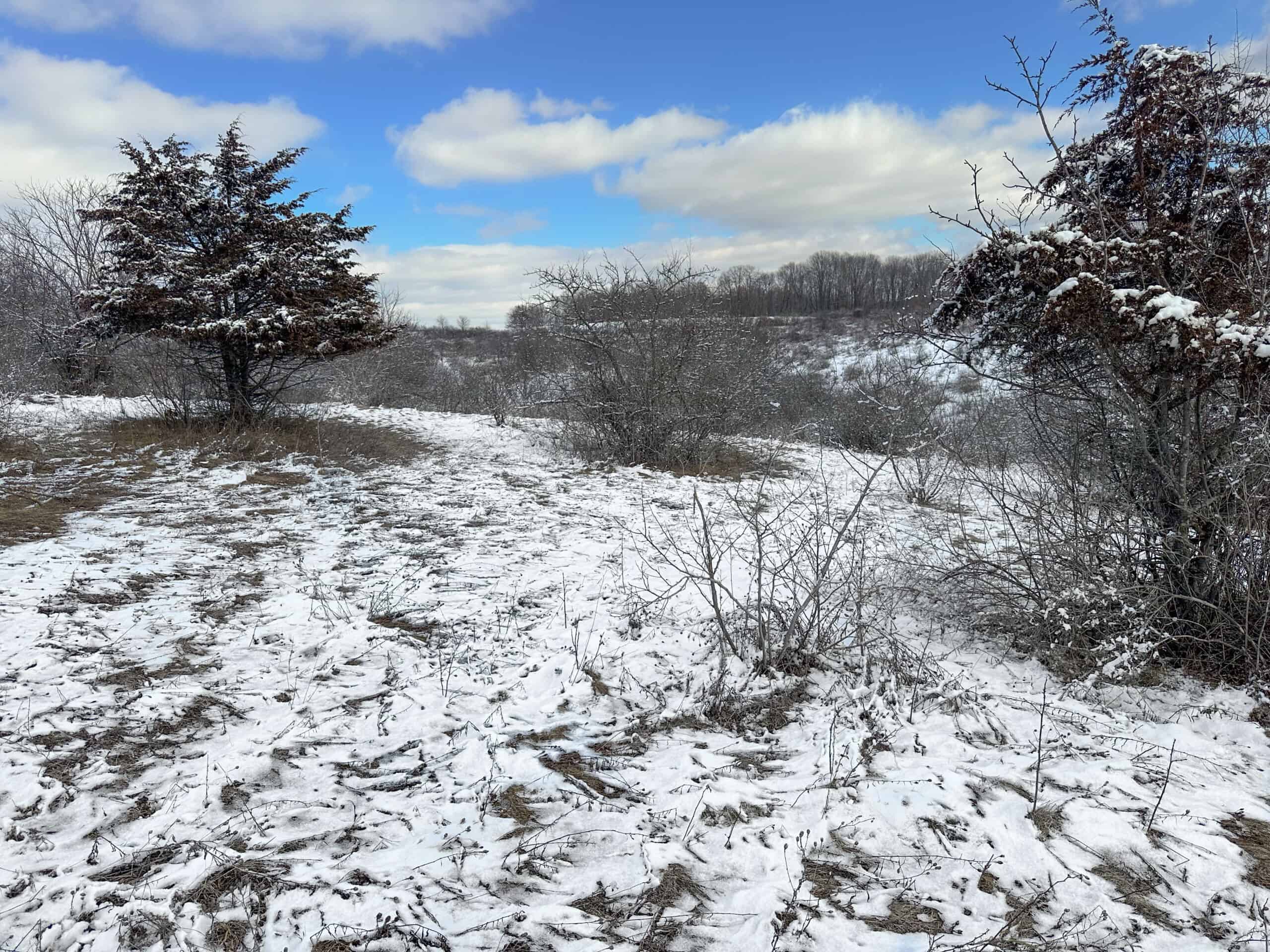 Hunting and Recreational Land for sale in Richland County, WI UC