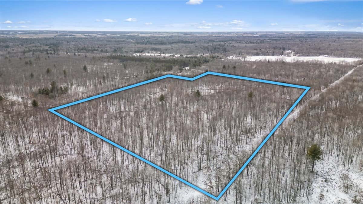 Michigan Hunting and Recreational Land for Sale