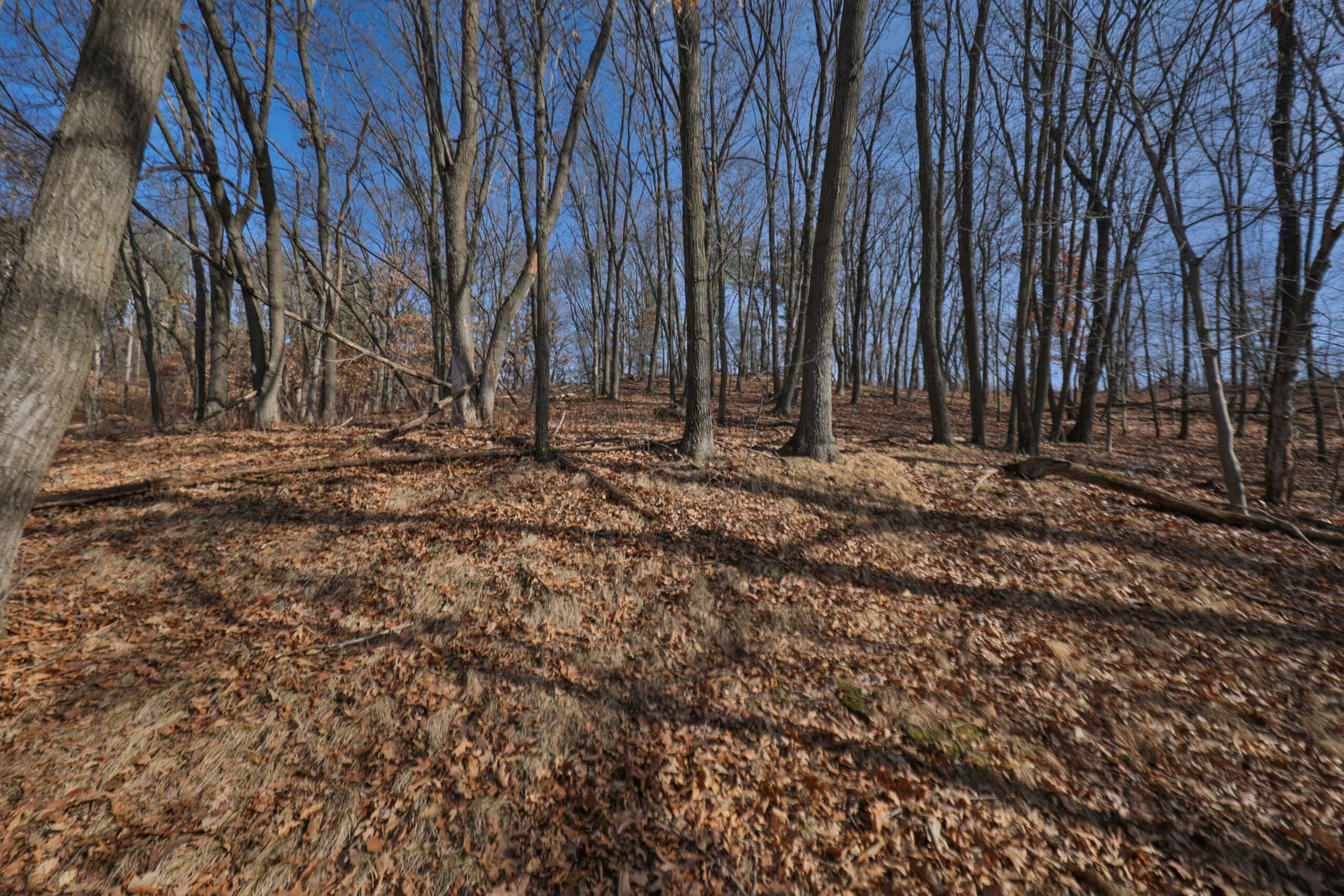 Small Hunting Property with Build Site for sale in Trempealeau County