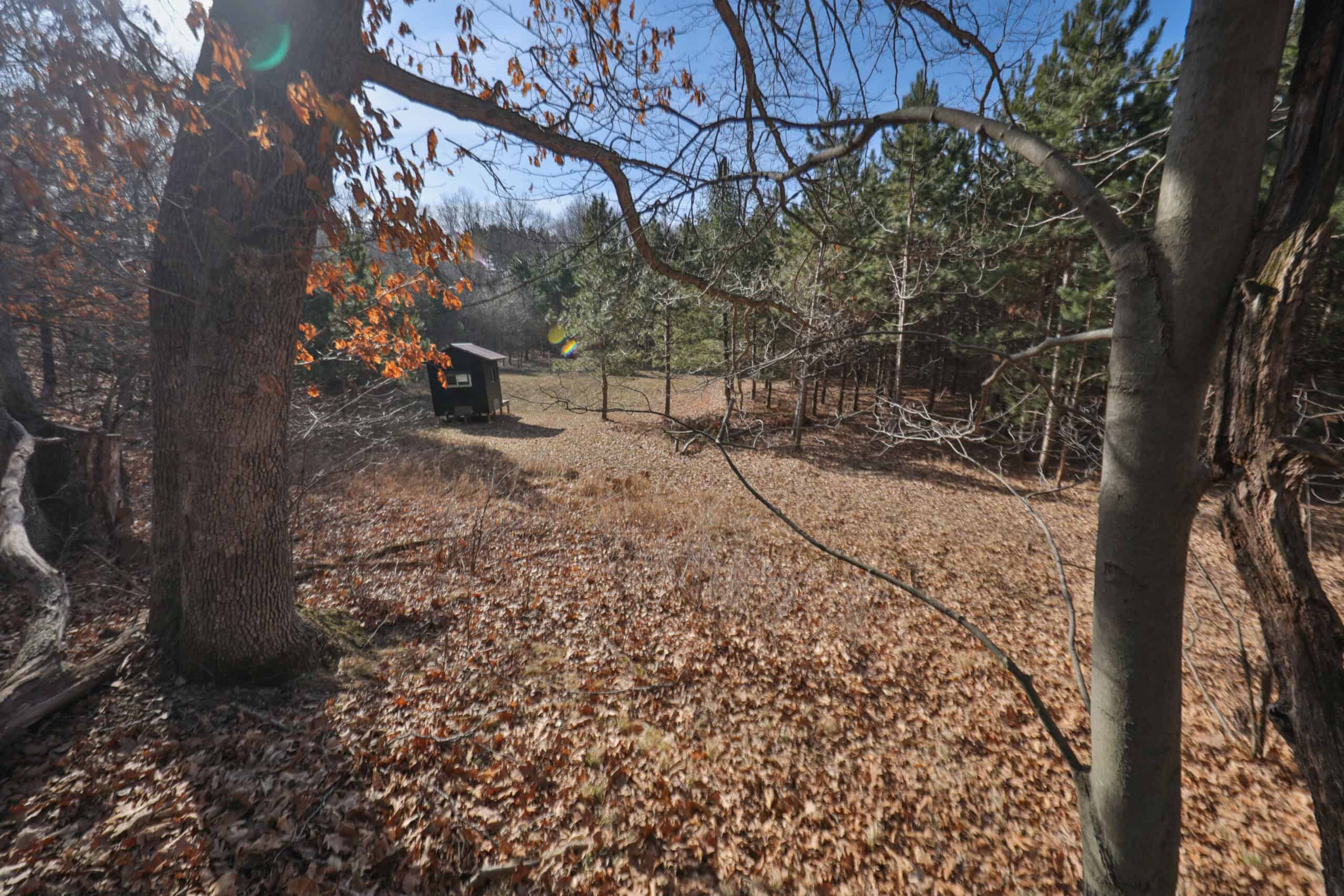 Small Hunting Property with Build Site for sale in Trempealeau County