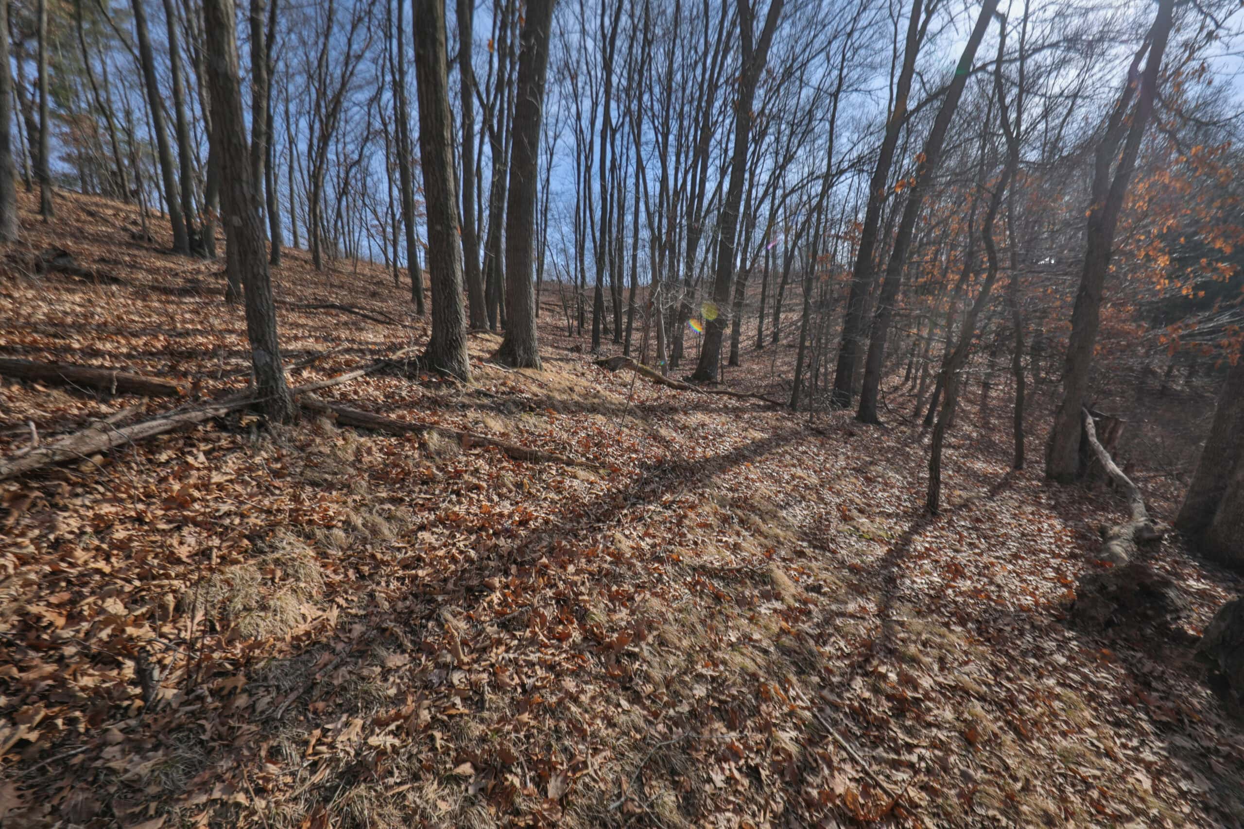 Small Hunting Property with Build Site for sale in Trempealeau County