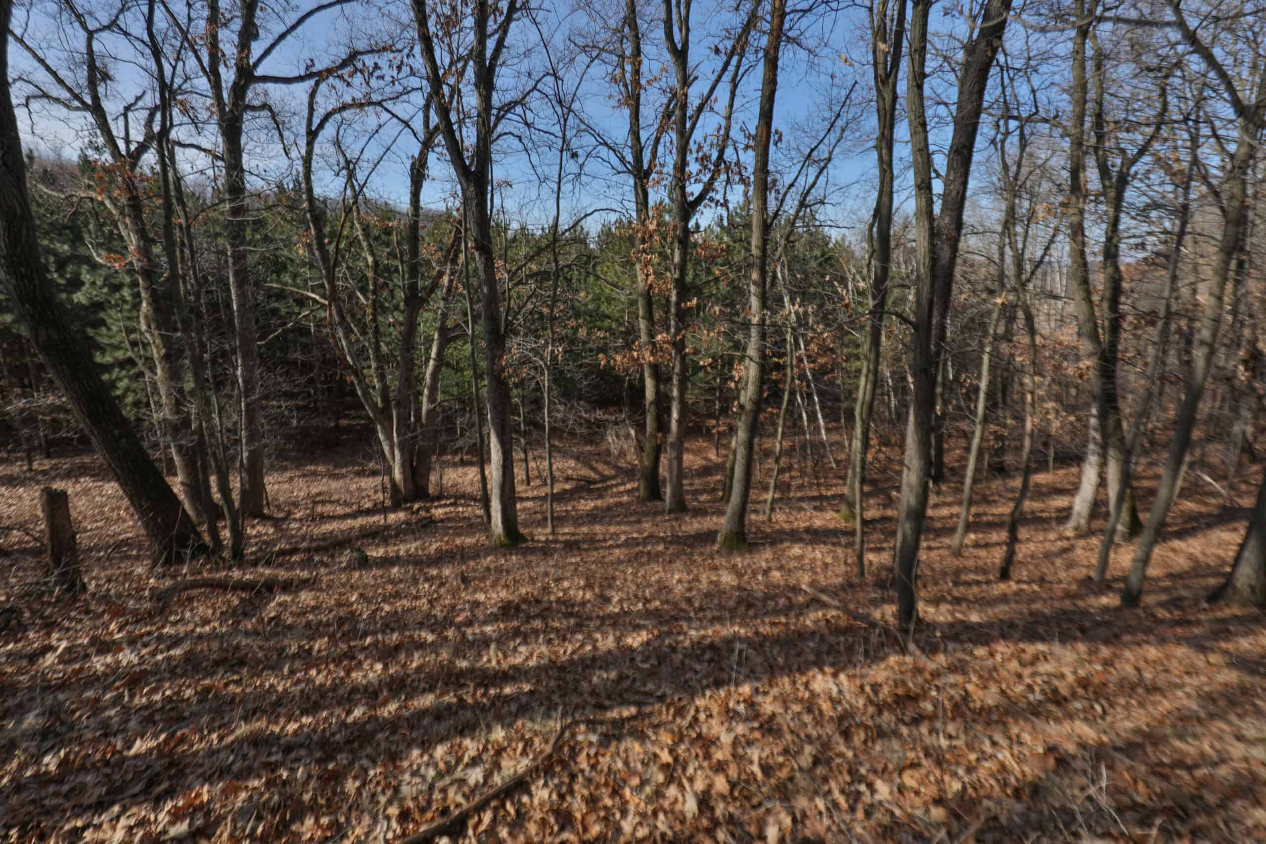 Small Hunting Property with Build Site for sale in Trempealeau County