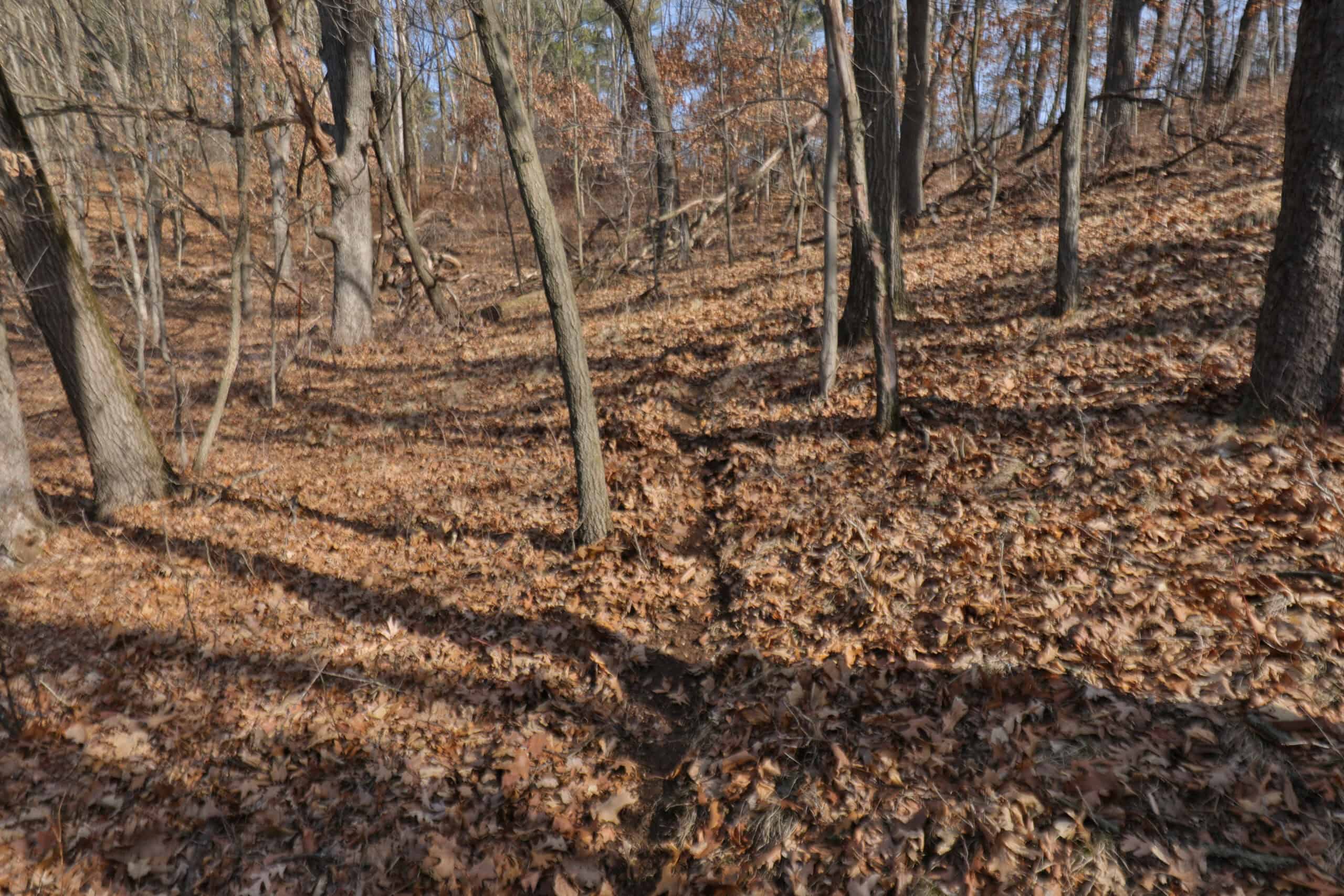 Small Hunting Property with Build Site for sale in Trempealeau County