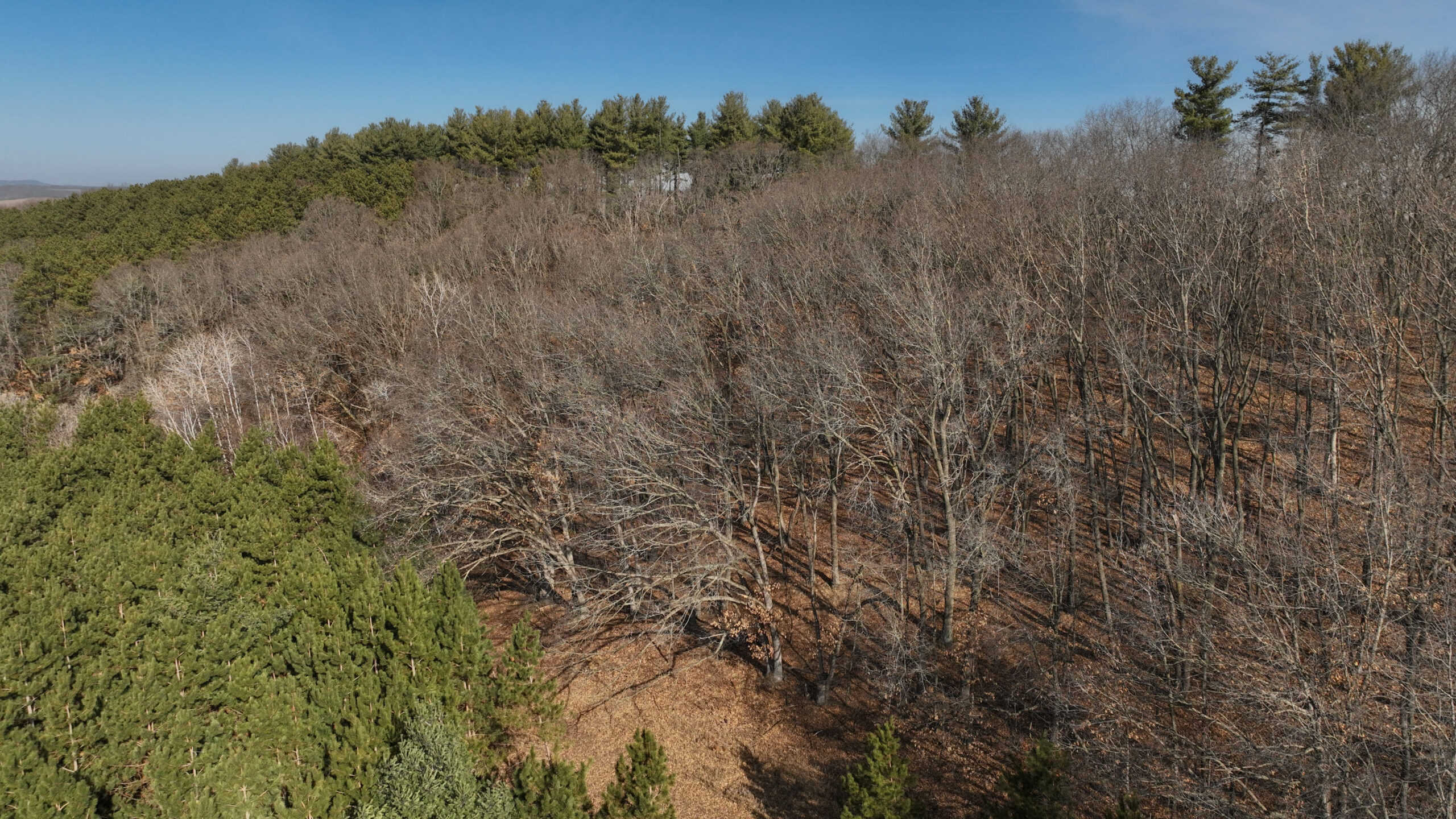Small Hunting Property with Build Site for sale in Trempealeau County