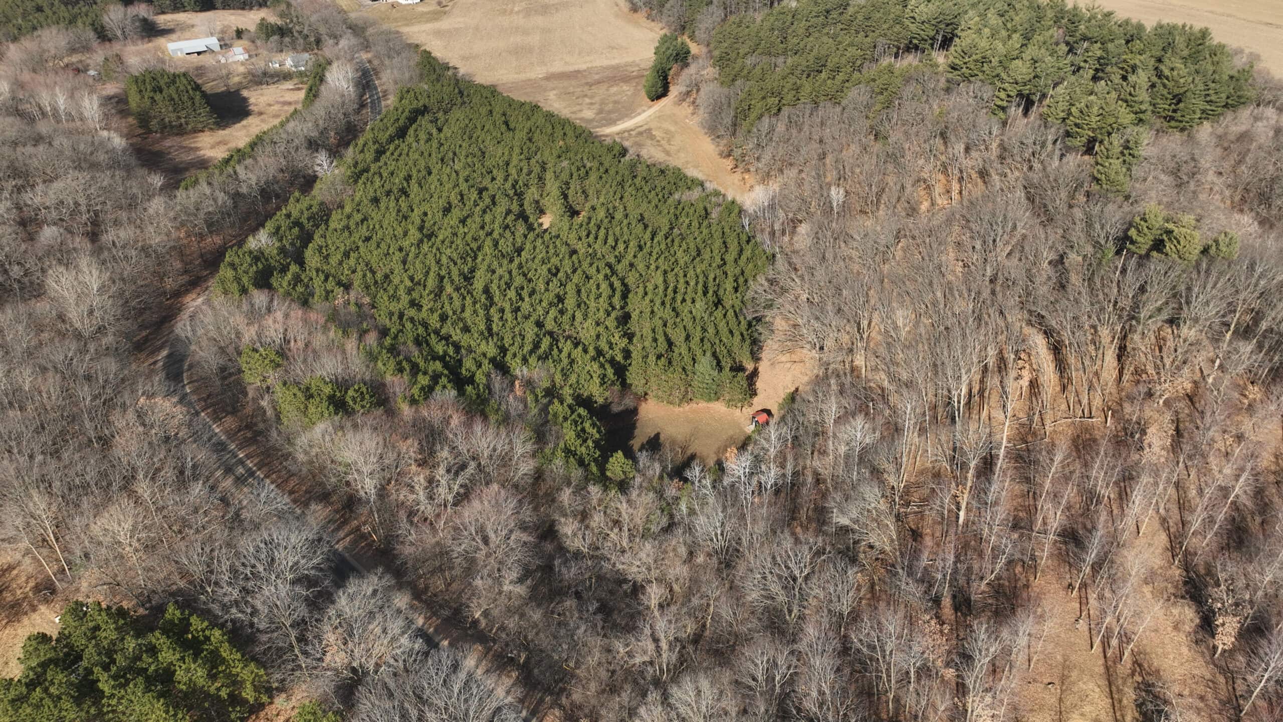 Small Hunting Property with Build Site for sale in Trempealeau County