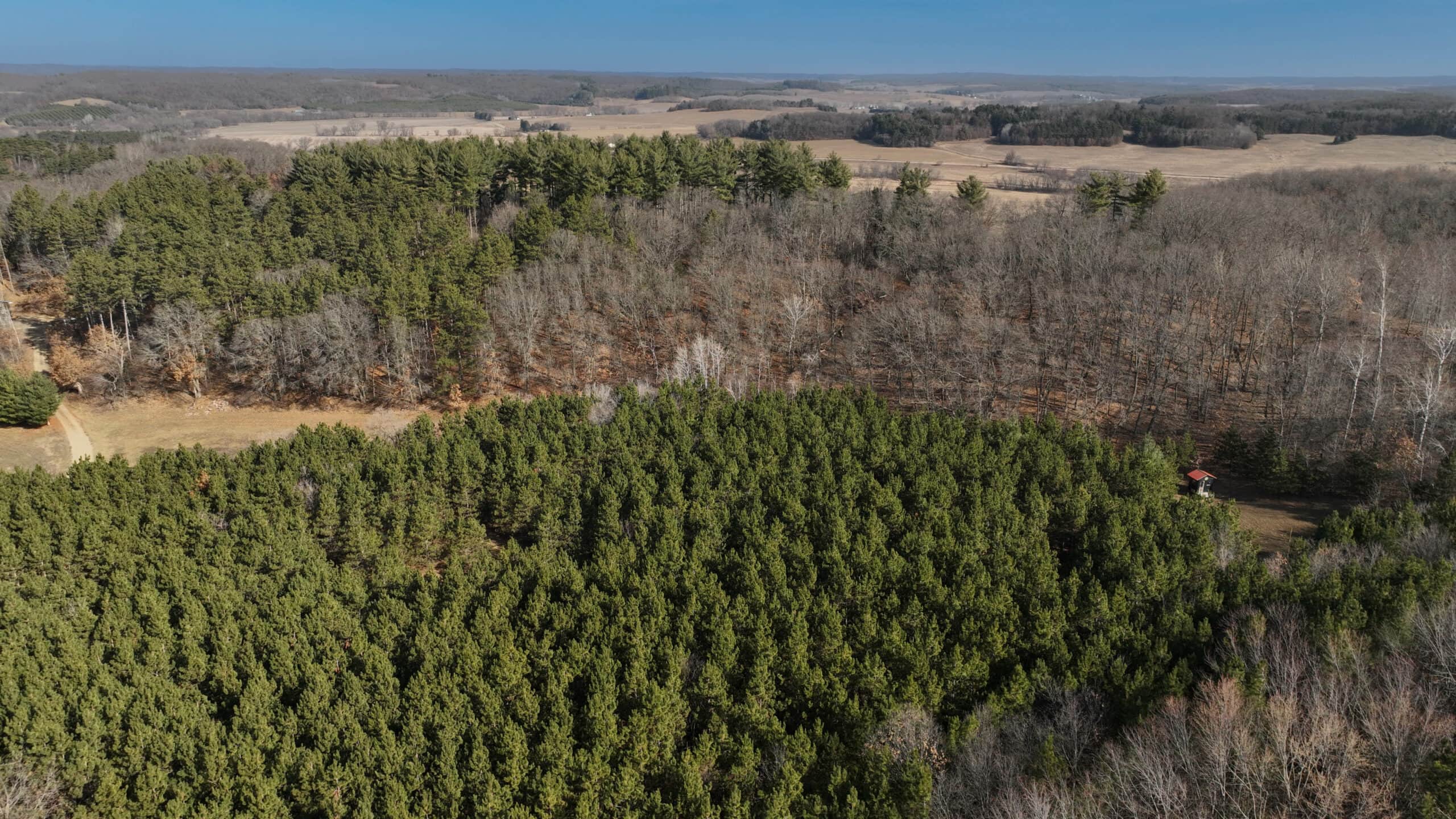 Small Hunting Property with Build Site for sale in Trempealeau County