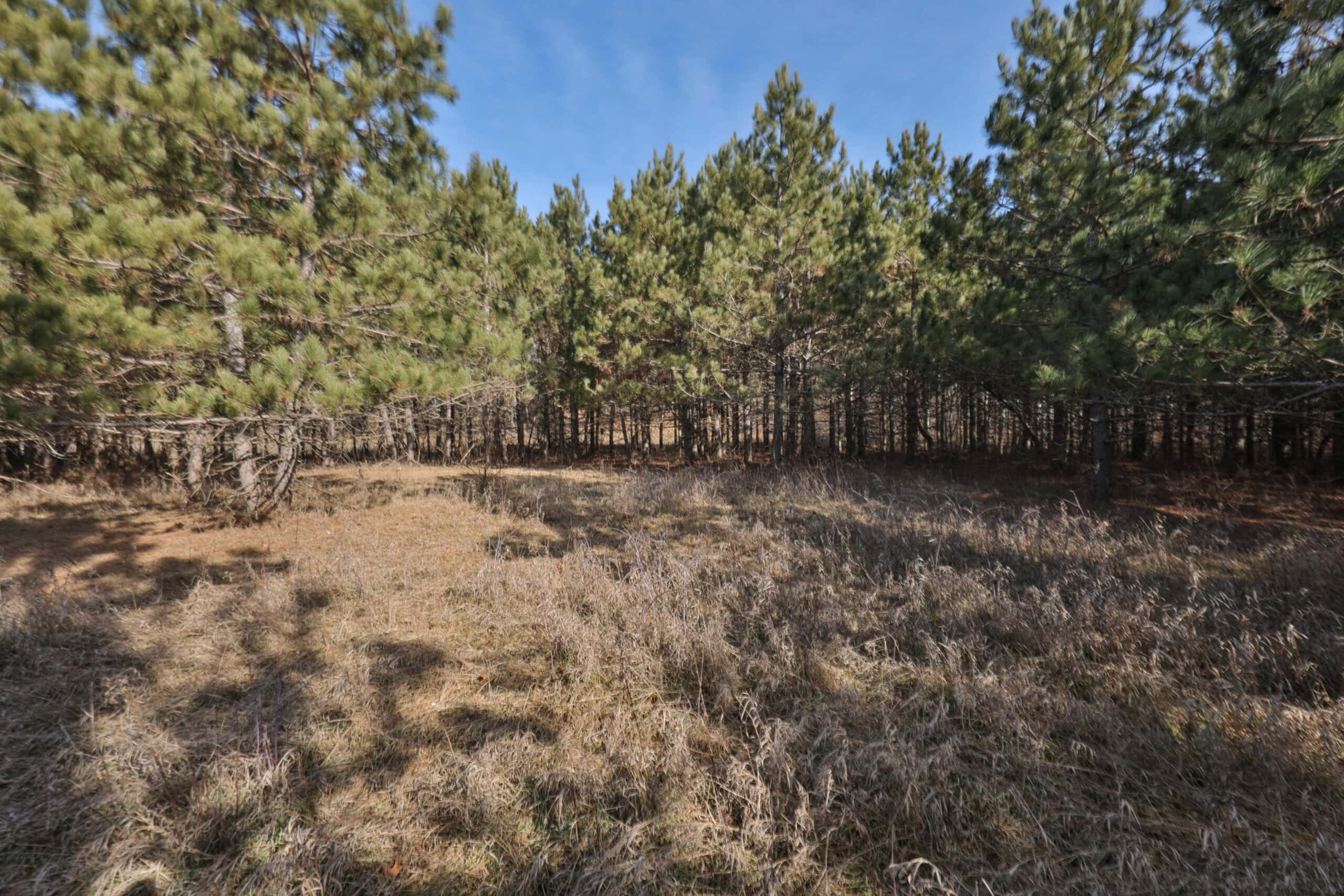 Small Hunting Property with Build Site for sale in Trempealeau County