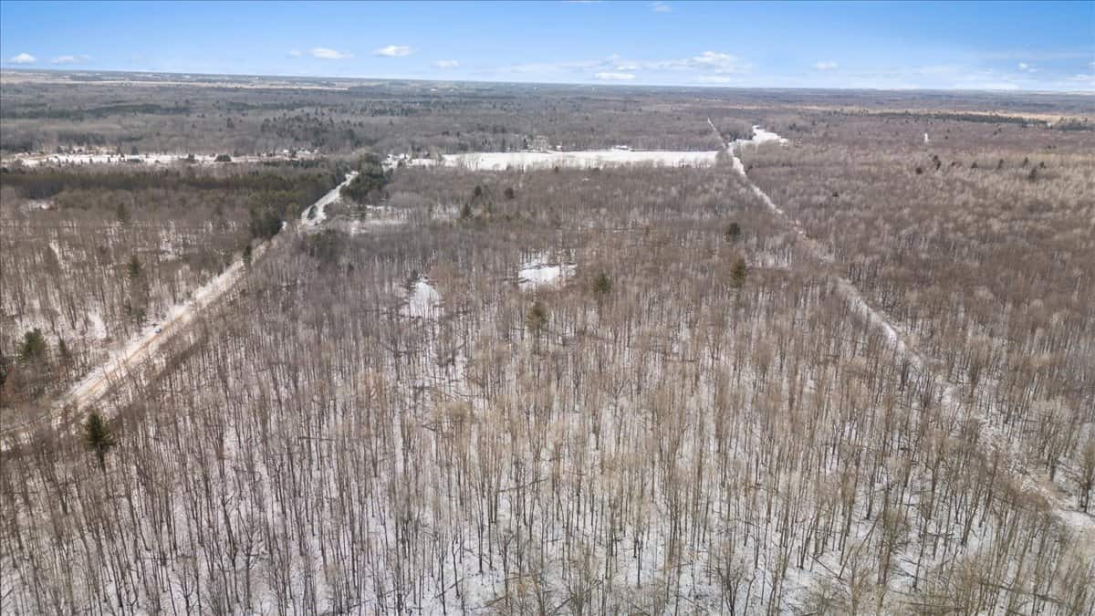 Michigan Hunting and Recreational Land for Sale