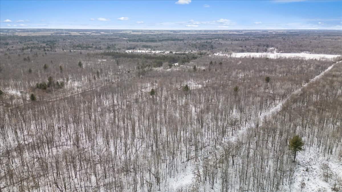 Michigan Hunting and Recreational Land for Sale