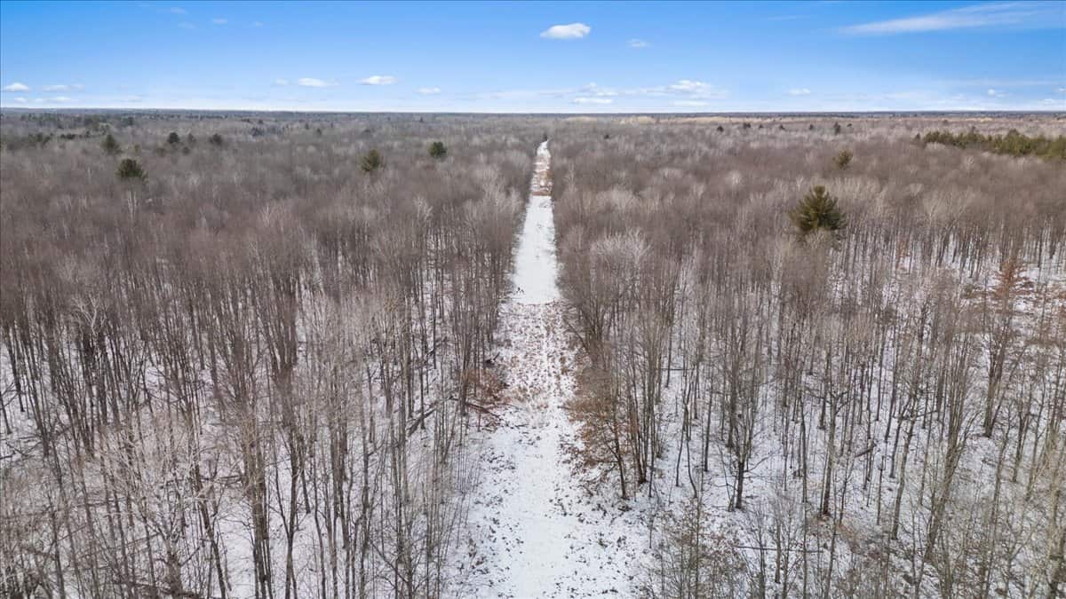 Michigan Hunting and Recreational Land for Sale
