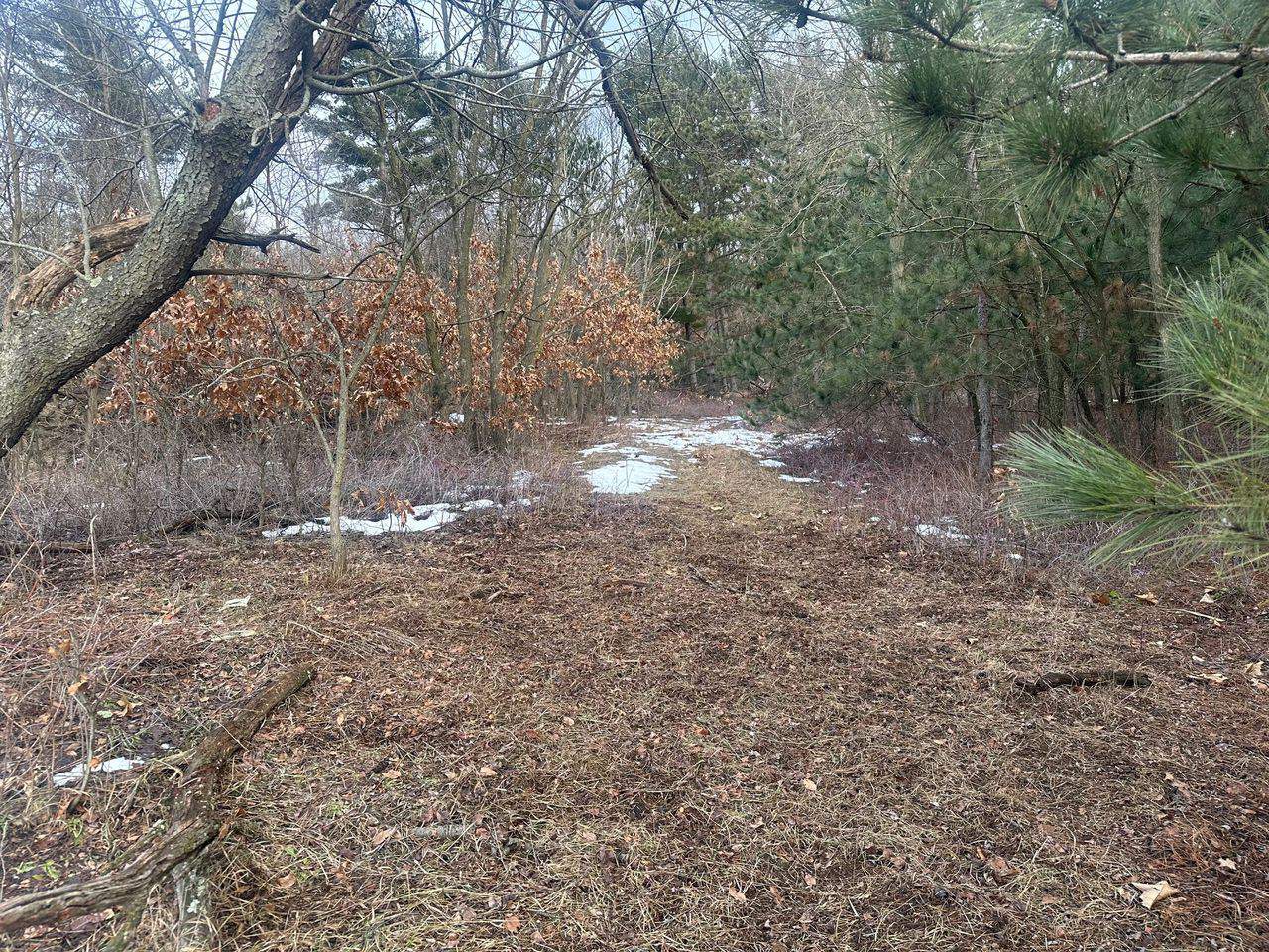 Truly a One of a Kind Hunting Parcel Marquette County WI UC Hunting