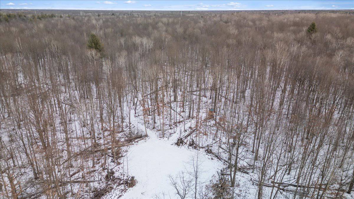 Michigan Hunting and Recreational Land for Sale