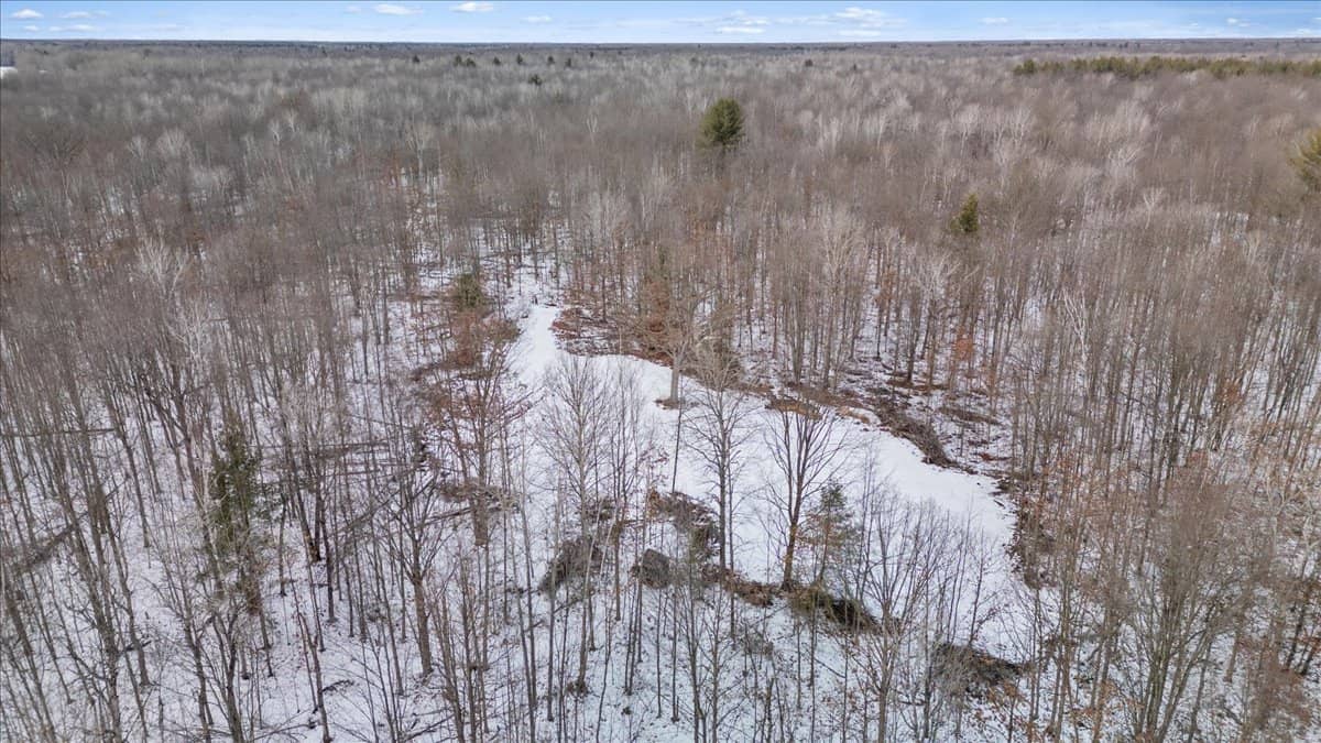 Michigan Hunting and Recreational Land for Sale