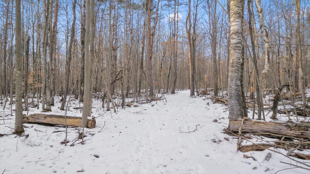 Michigan Hunting and Recreational Land for Sale