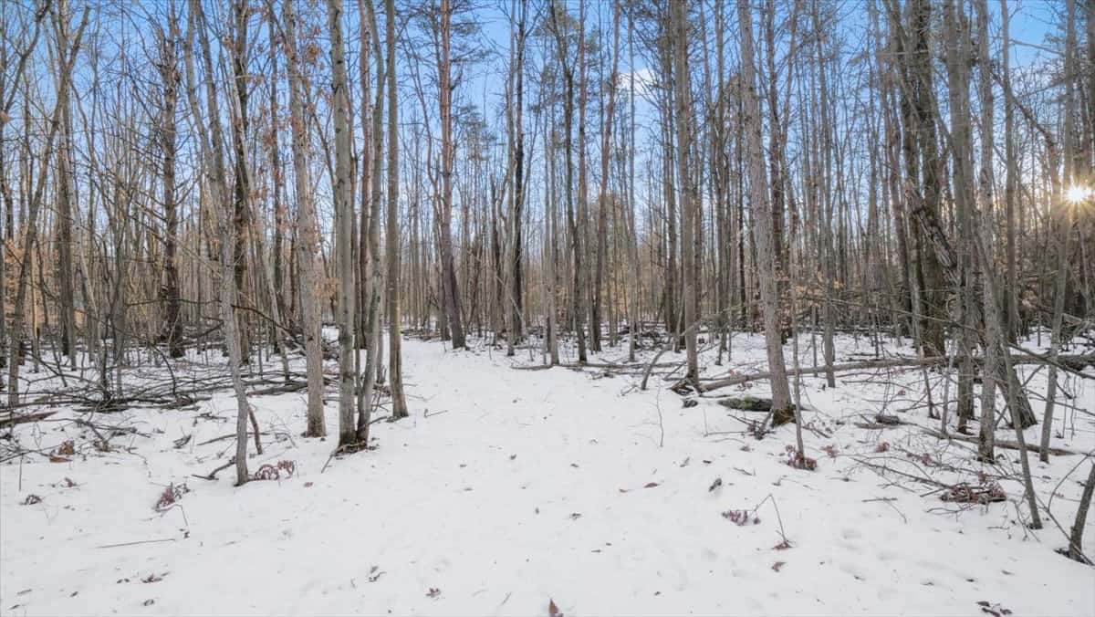 Michigan Hunting and Recreational Land for Sale
