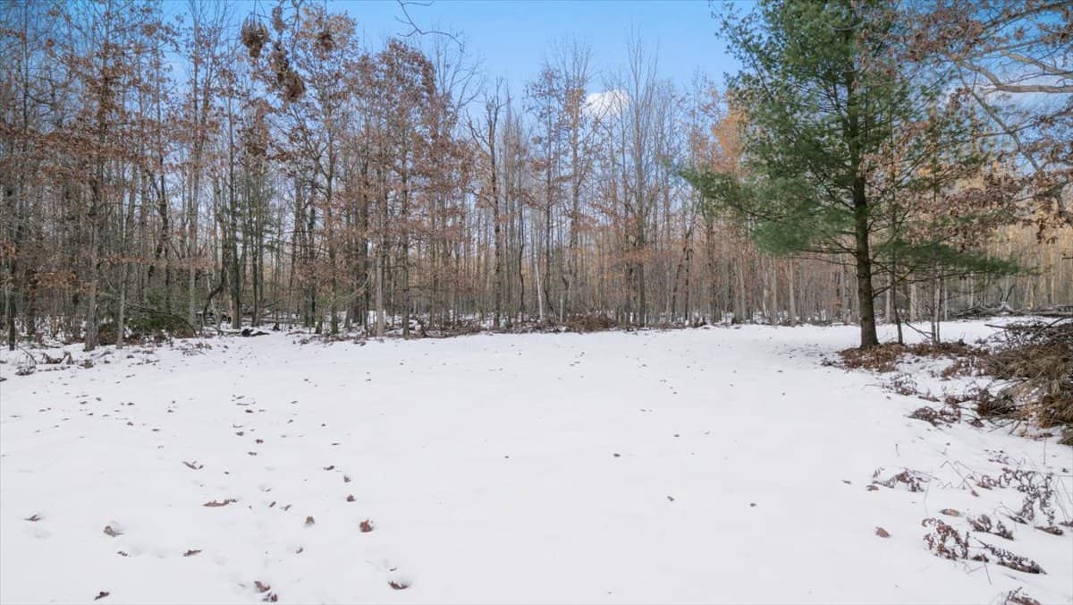 Michigan Hunting and Recreational Land for Sale