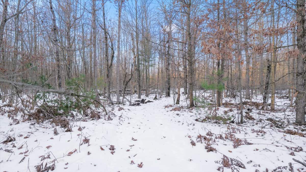 Michigan Hunting and Recreational Land for Sale