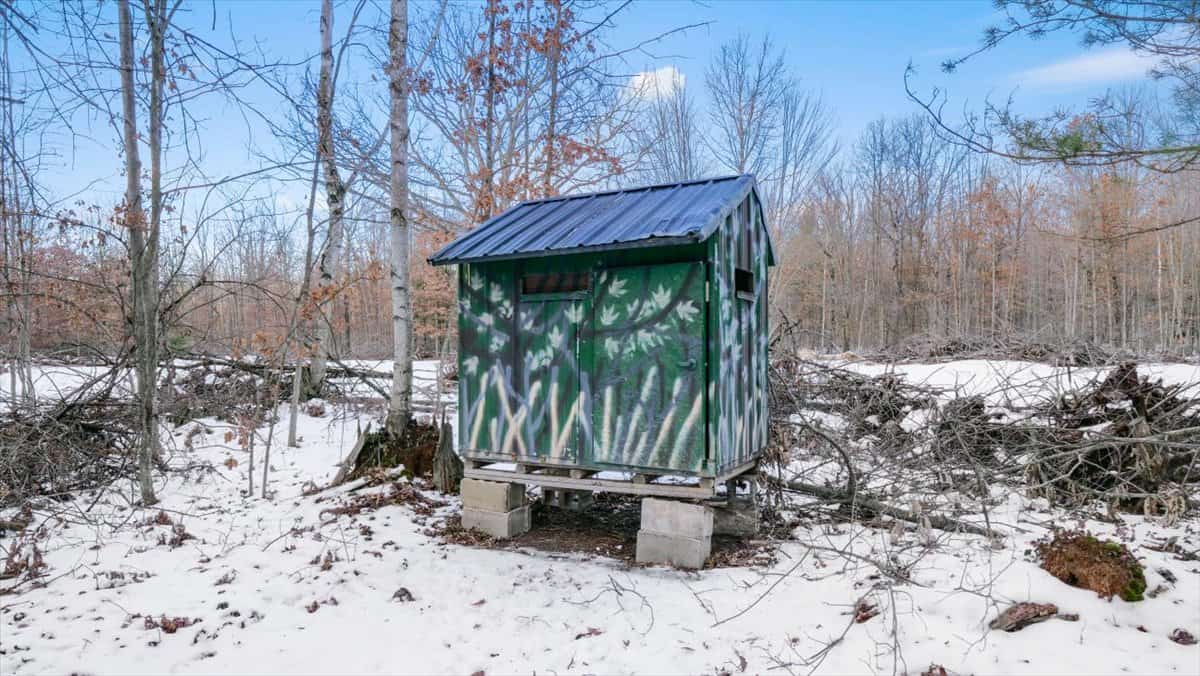 Michigan Hunting and Recreational Land for Sale