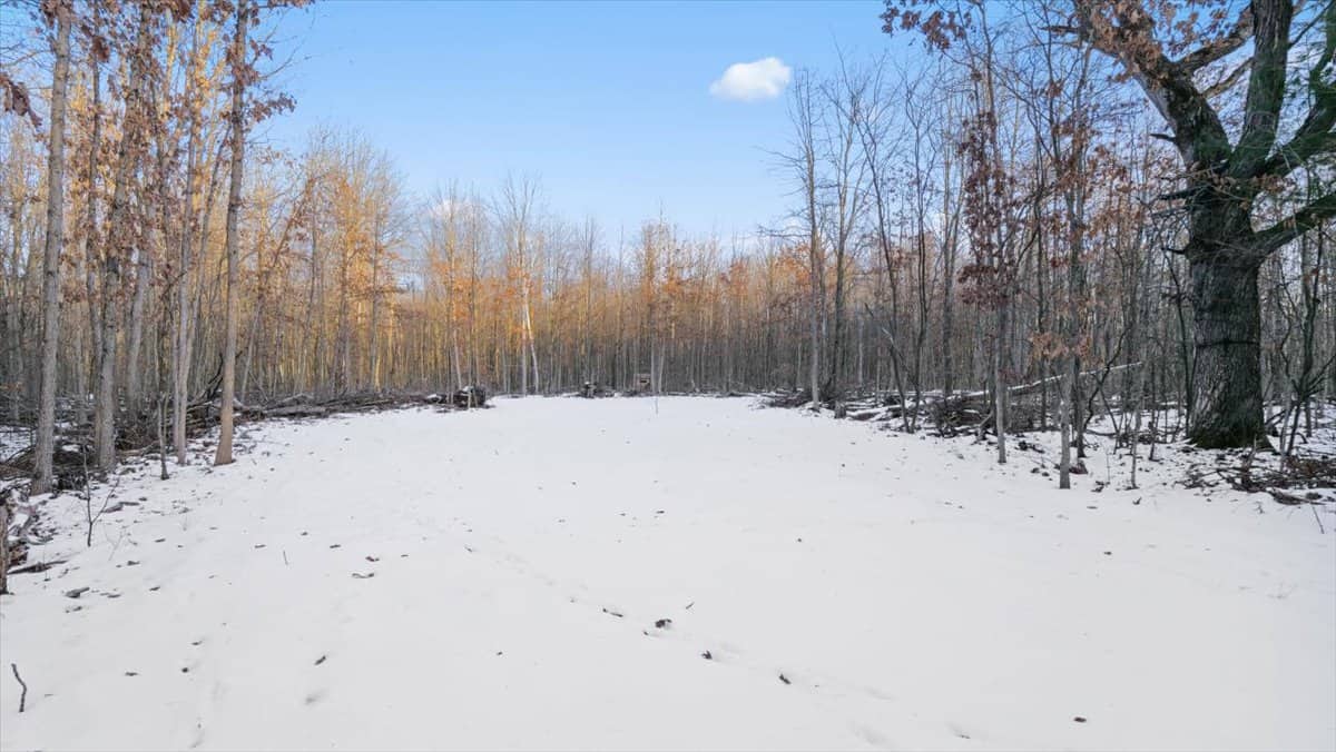 Michigan Hunting and Recreational Land for Sale
