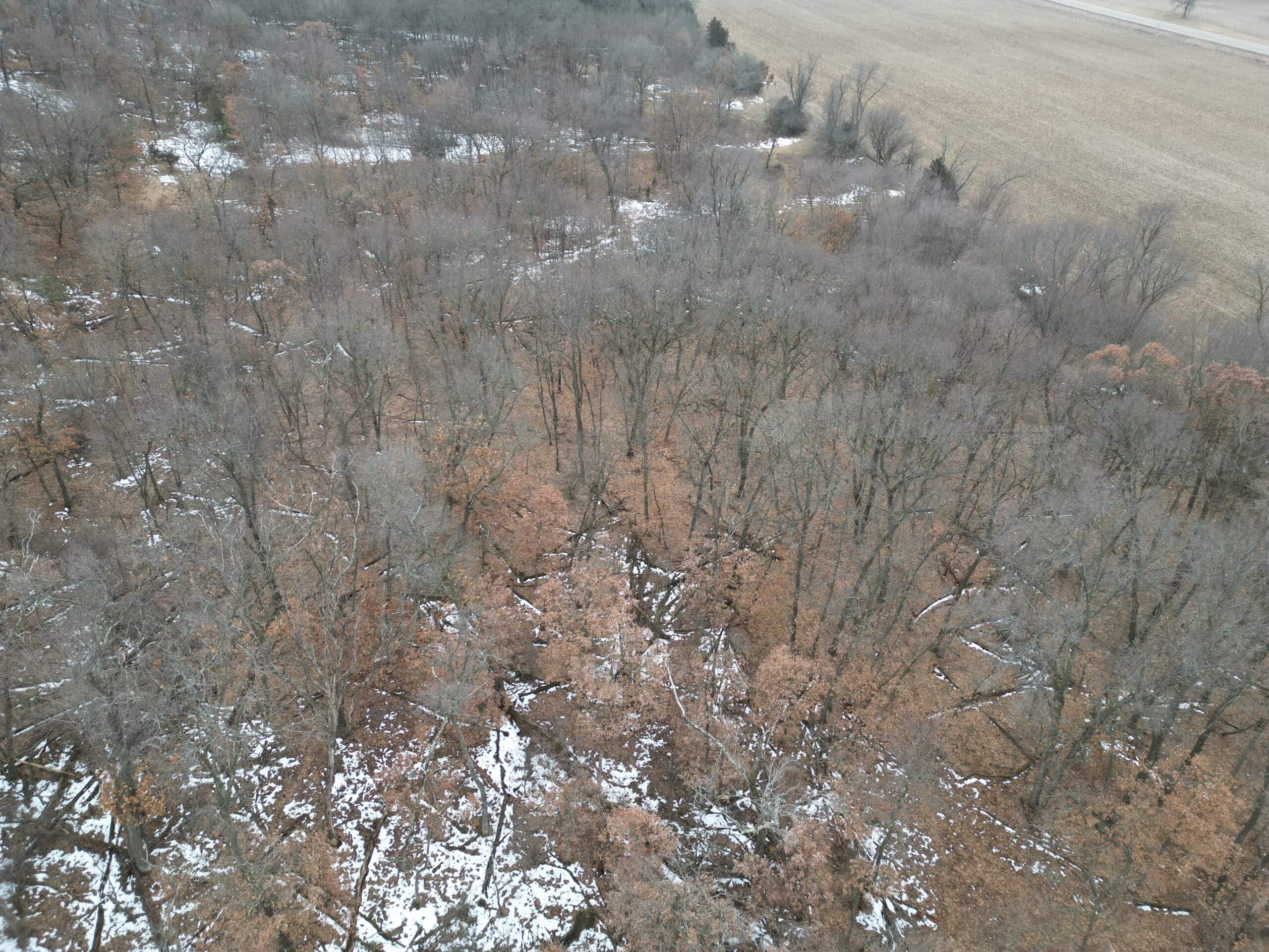 Truly a One of a Kind Hunting Parcel Marquette County WI UC Hunting