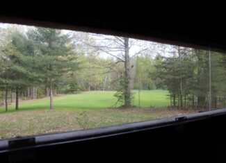 Prime 250 Acres of Hunting Land for Sale in Atlanta, MI