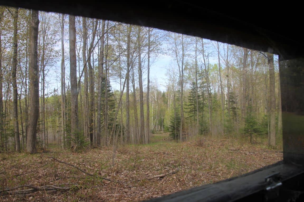Prime 250 Acres of Hunting Land for Sale in Atlanta, MI