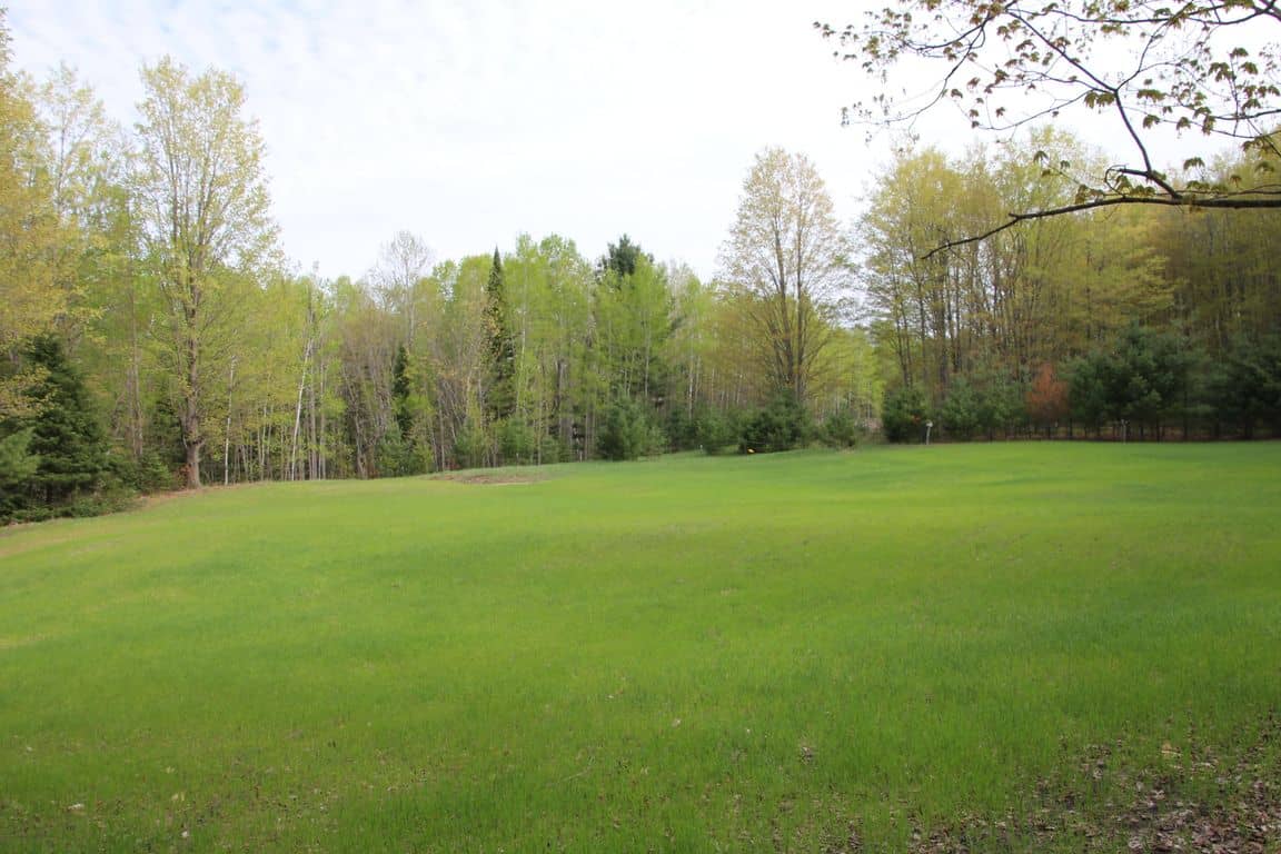 Prime 250 Acres of Hunting Land for Sale in Atlanta, MI