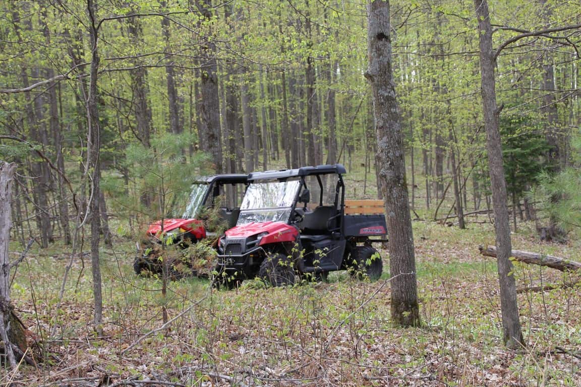 Prime 250 Acres of Hunting Land for Sale in Atlanta, MI