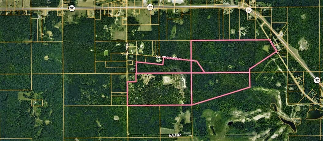 Prime 250 Acres of Hunting Land for Sale in Atlanta, MI