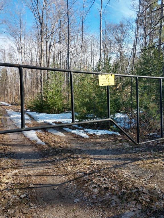 Prime 250 Acres of Hunting Land for Sale in Atlanta, MI