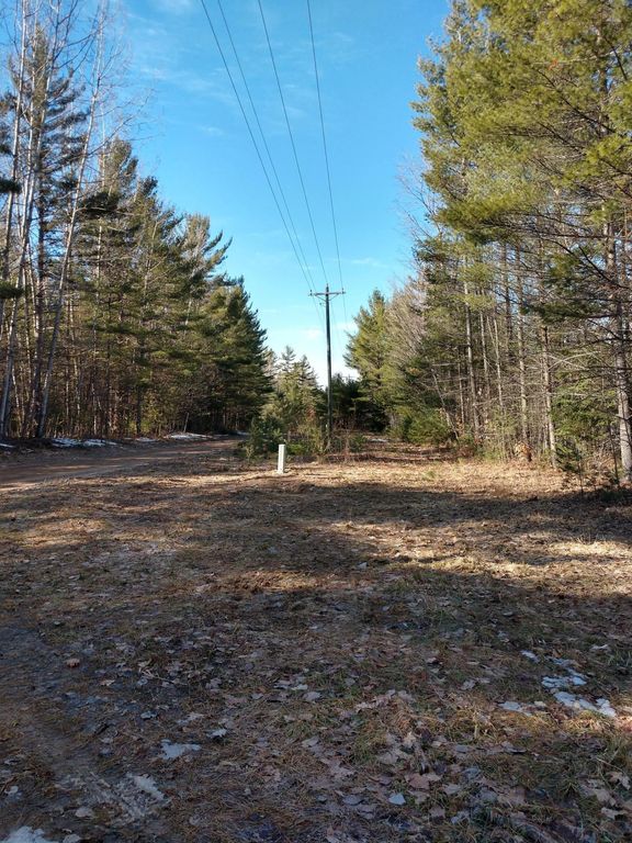 Prime 250 Acres of Hunting Land for Sale in Atlanta, MI