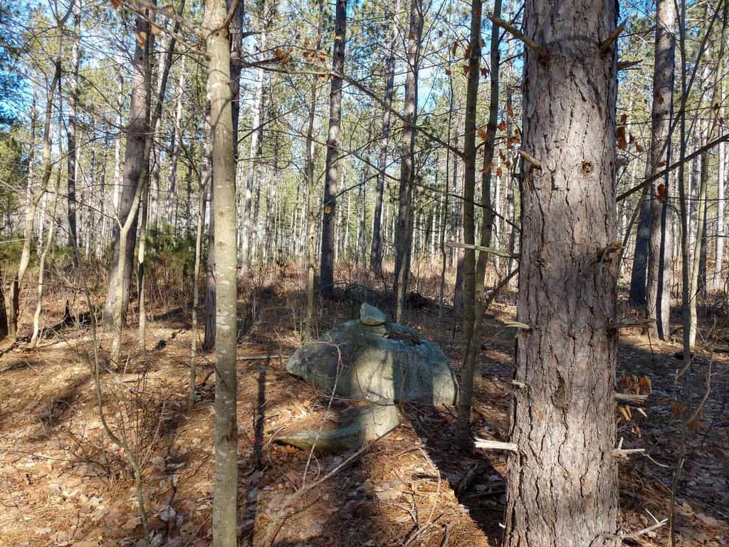 Prime 250 Acres of Hunting Land for Sale in Atlanta, MI