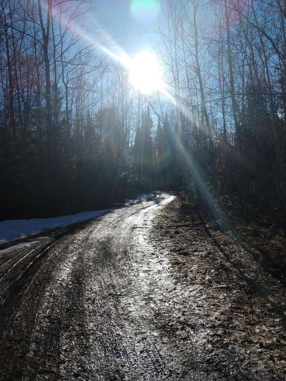 Prime 250 Acres of Hunting Land for Sale in Atlanta, MI