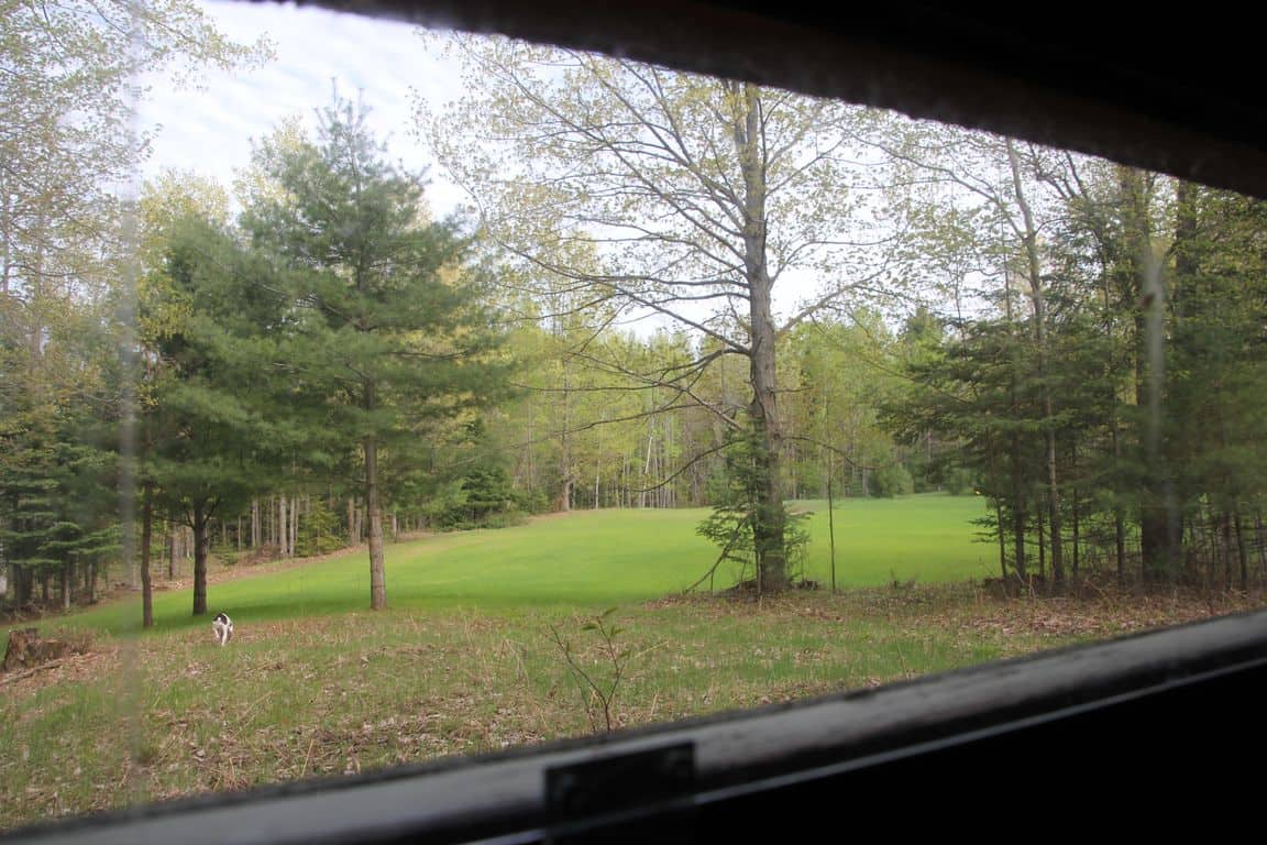 Prime 250 Acres of Hunting Land for Sale in Atlanta, MI