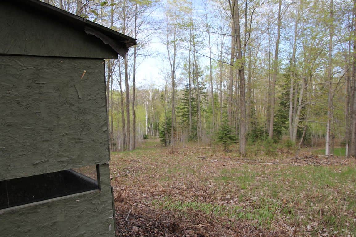 Prime 250 Acres of Hunting Land for Sale in Atlanta, MI
