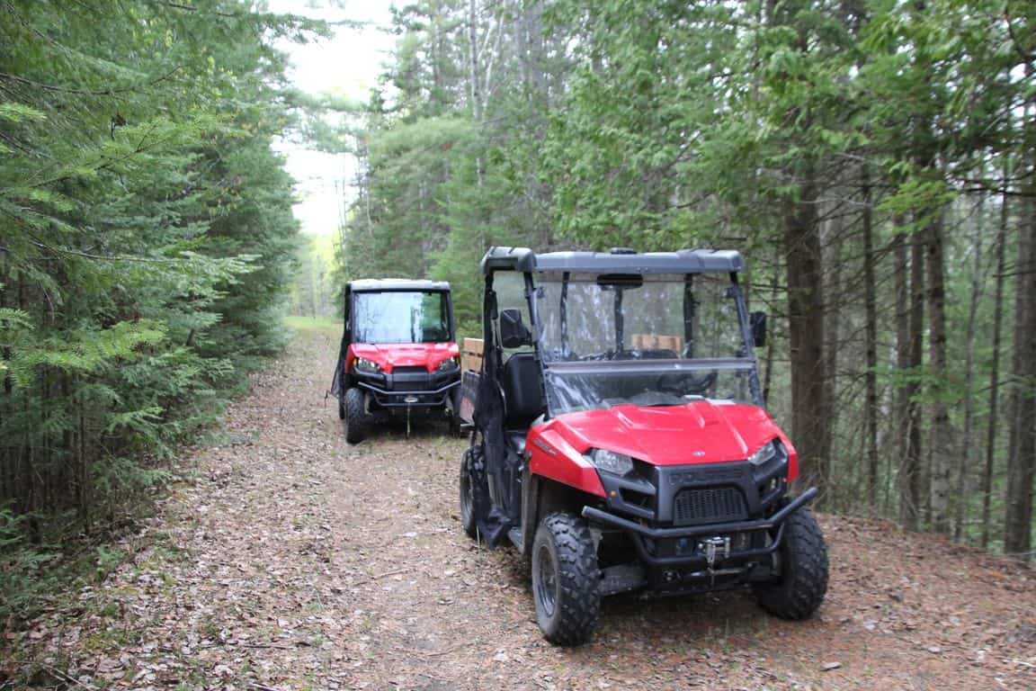 Prime 250 Acres of Hunting Land for Sale in Atlanta, MI