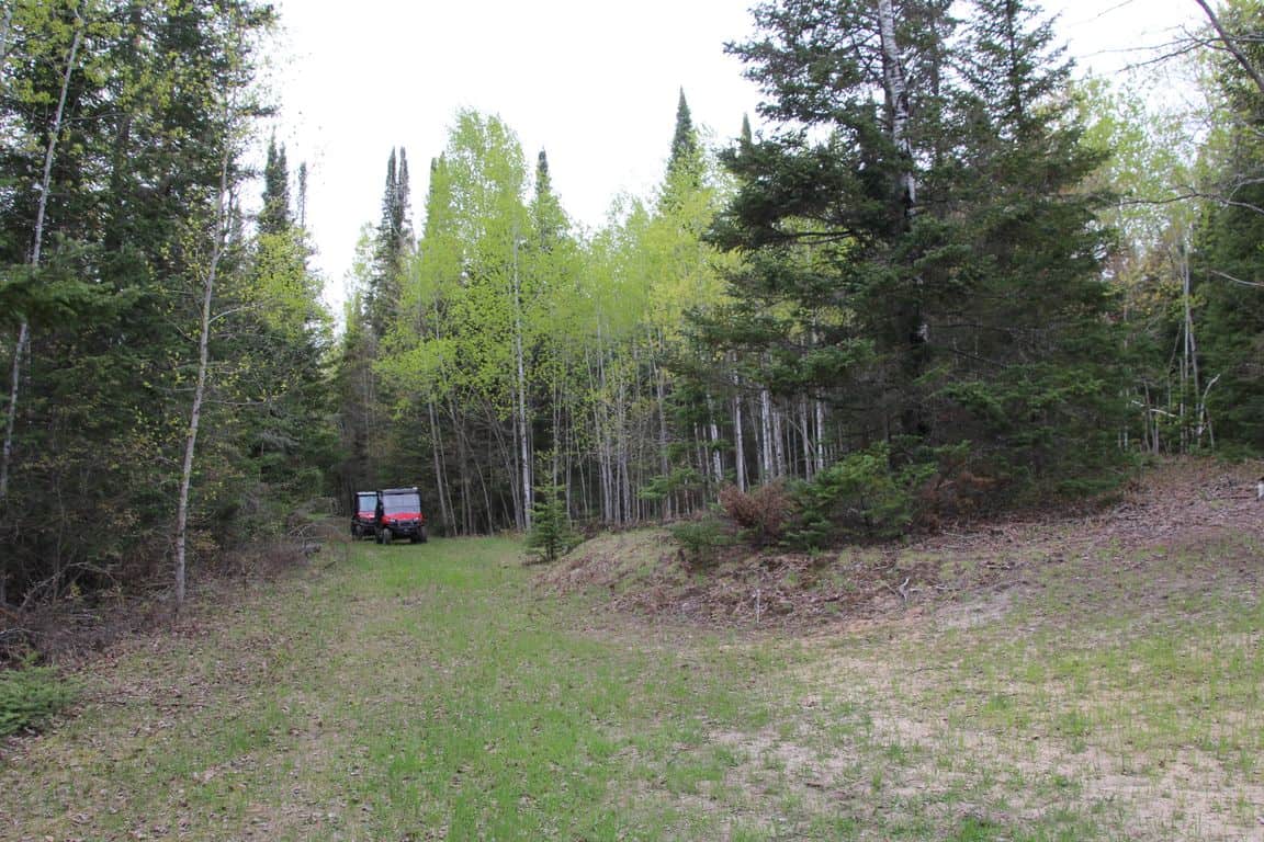 Prime 250 Acres of Hunting Land for Sale in Atlanta, MI