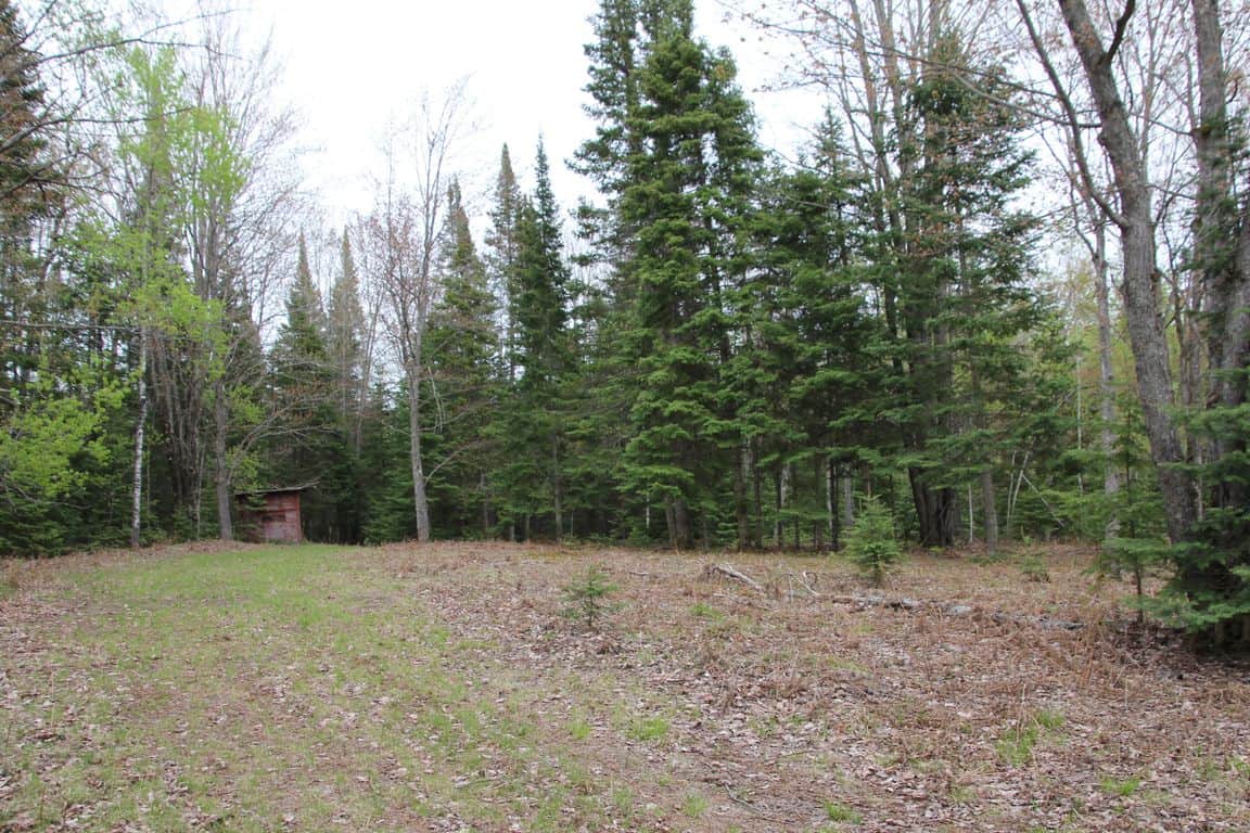 Prime 250 Acres of Hunting Land for Sale in Atlanta, MI