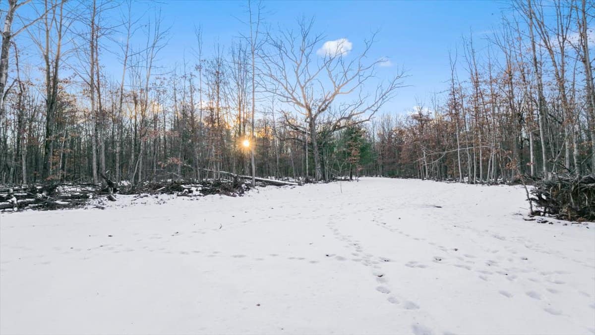 Michigan Hunting and Recreational Land for Sale