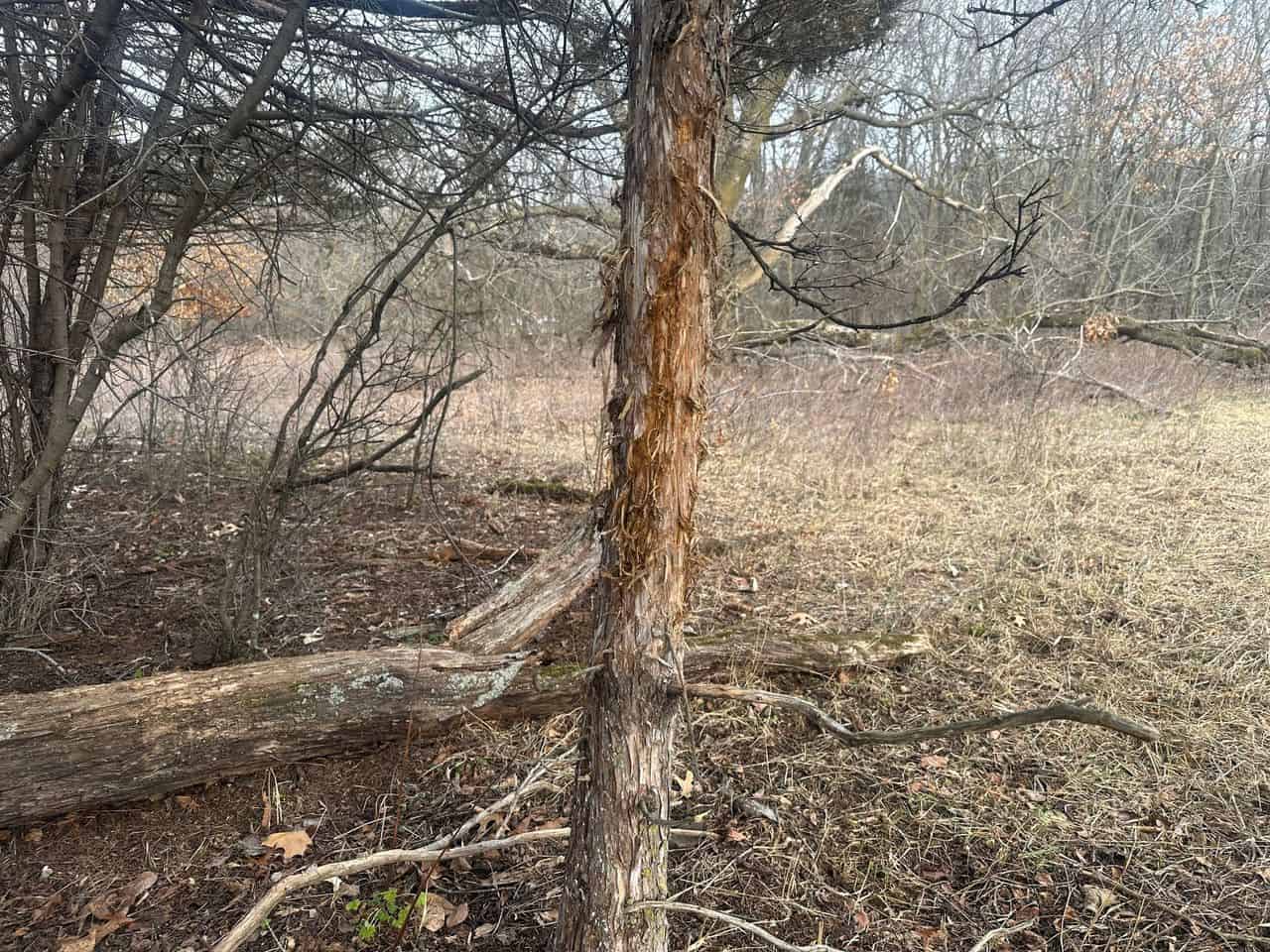 Truly a One of a Kind Hunting Parcel Marquette County WI UC Hunting