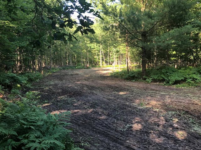 Michigan Hunting and Recreational Land for Sale