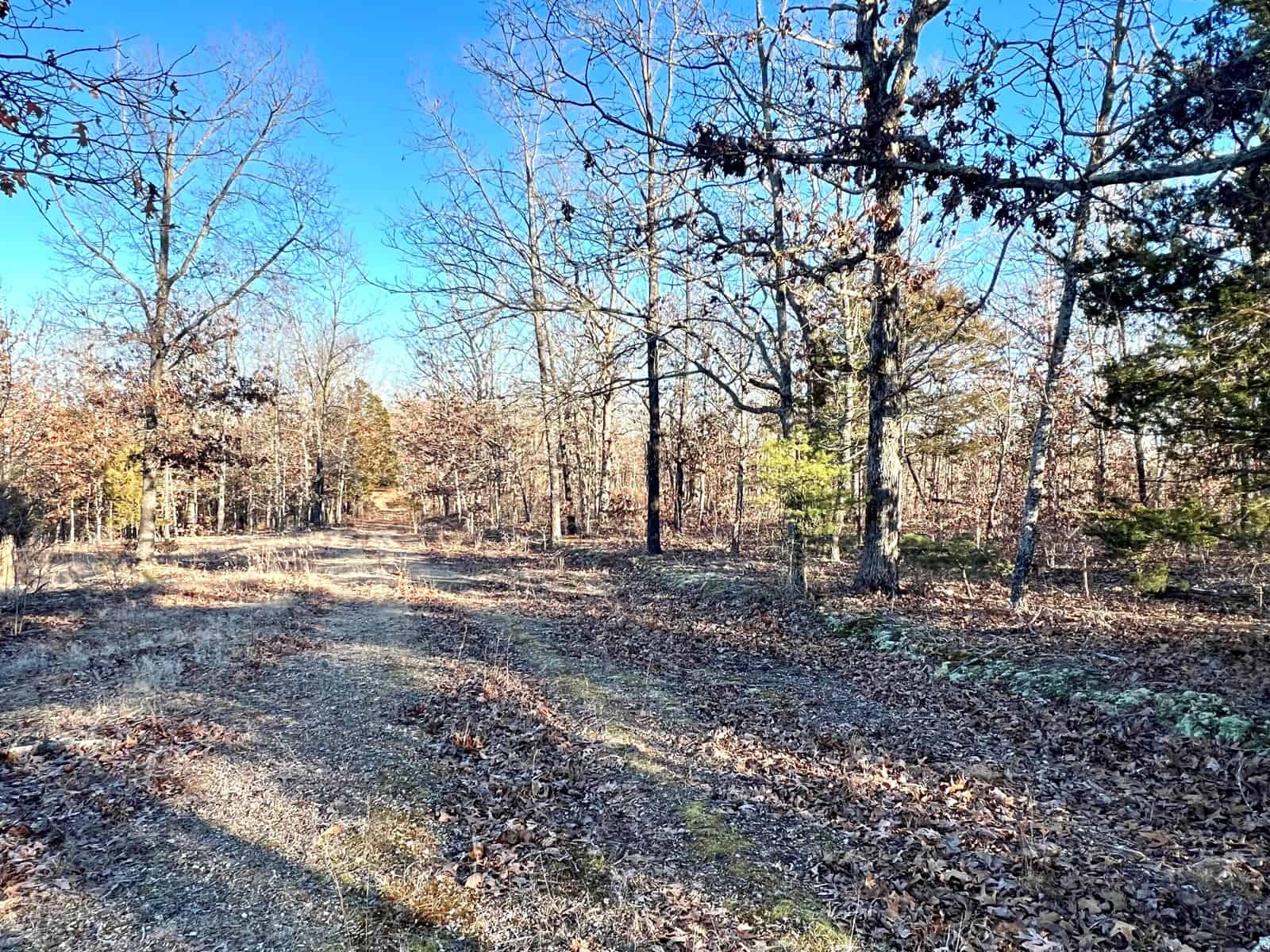 Land for Sale in Steelville, MO UC Hunting Properties