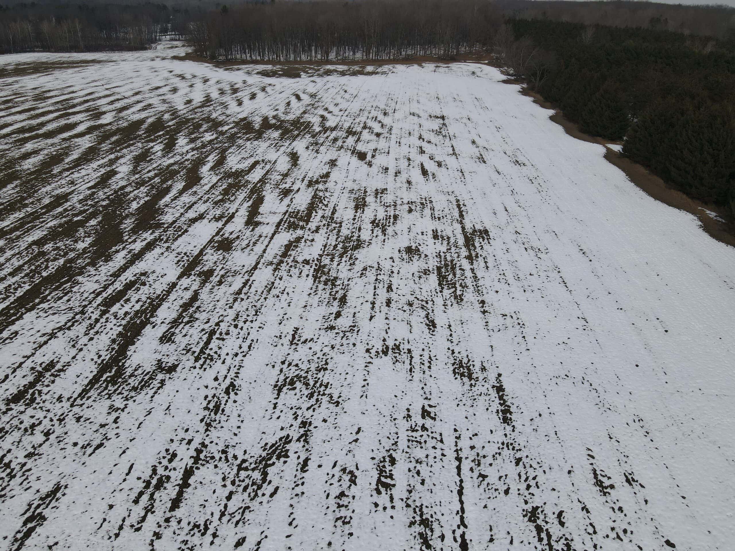 Michigan hunting land for sale UC Hunting Properties